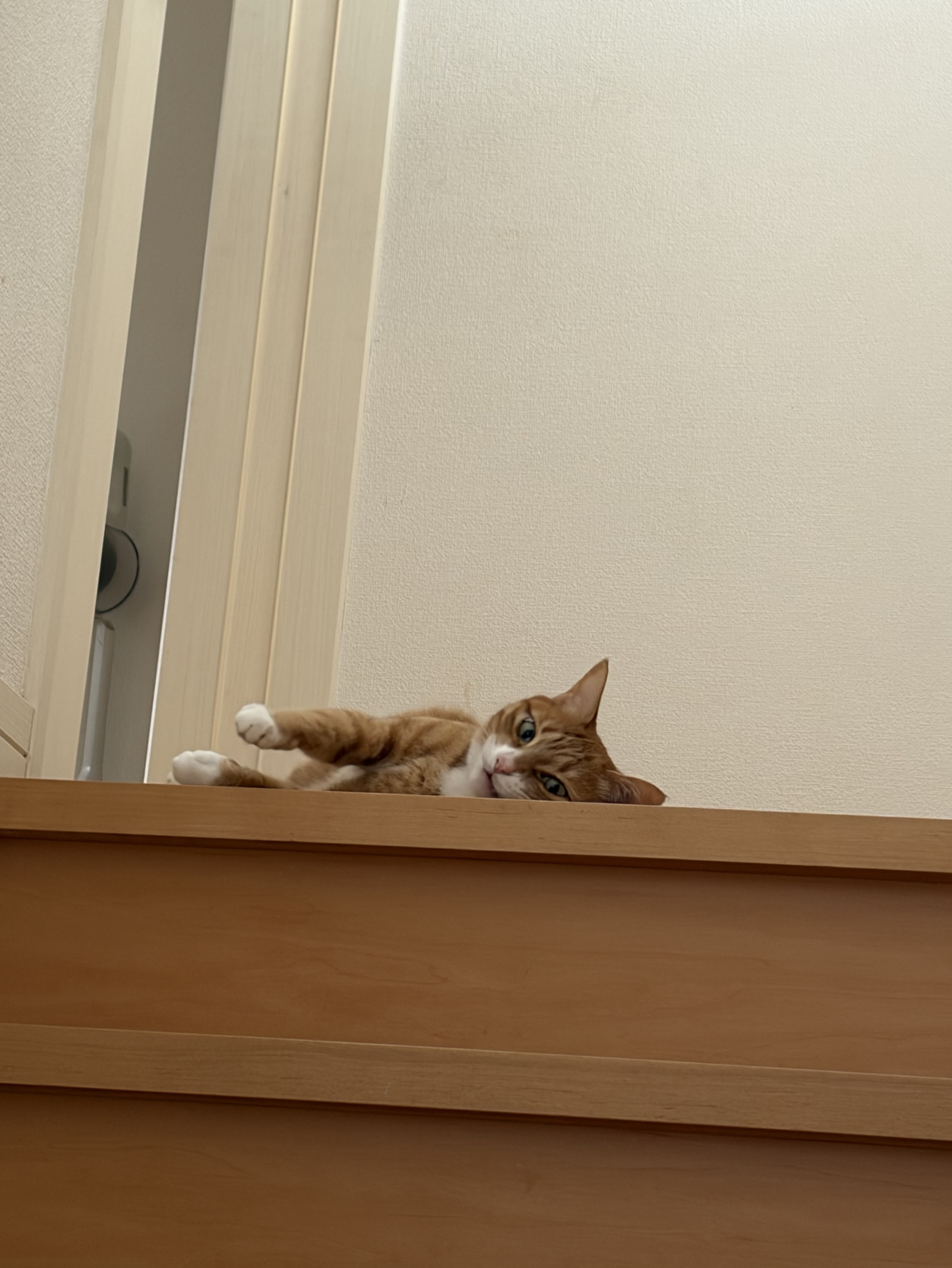 君の休憩場 初見〇