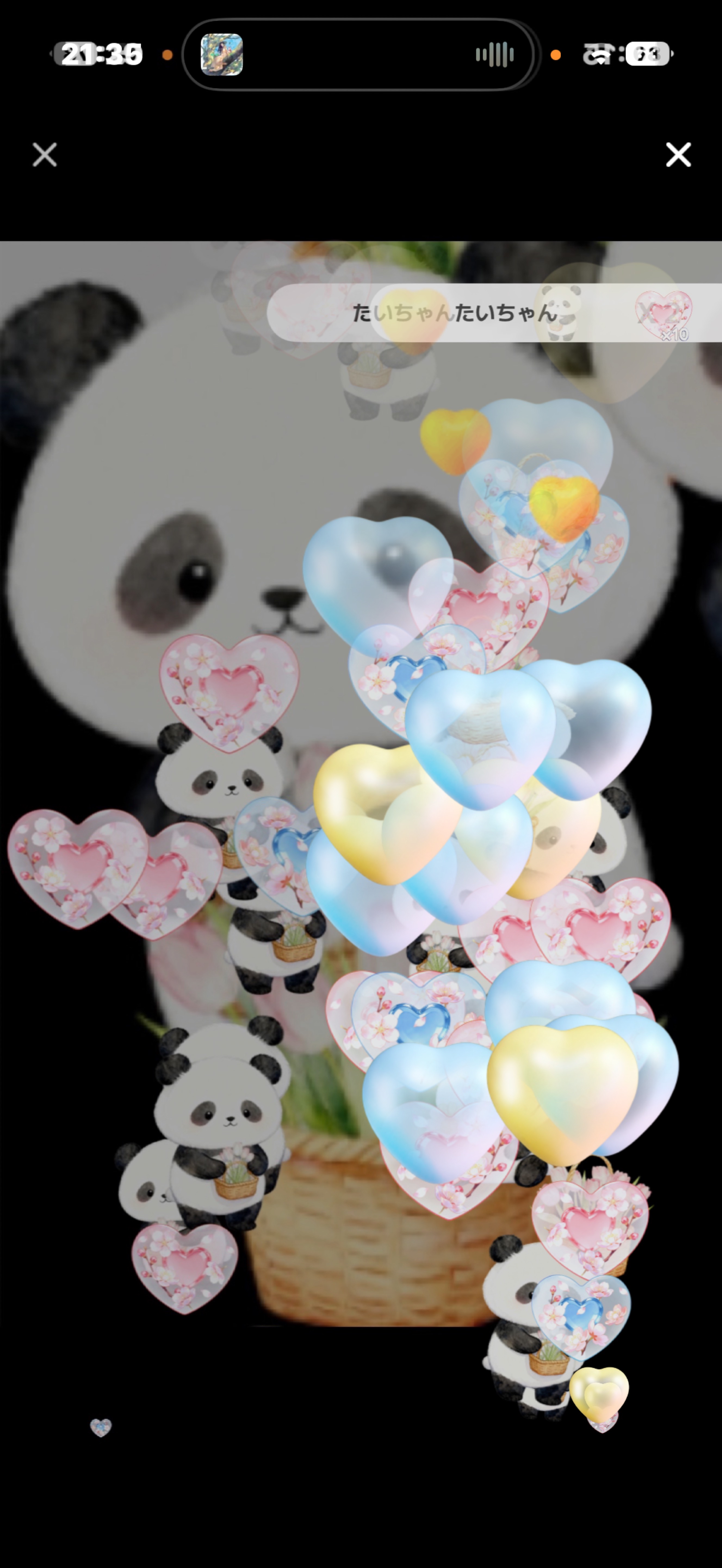 初寝潜◎1分おいでっ⊂(´꒳`)⊃