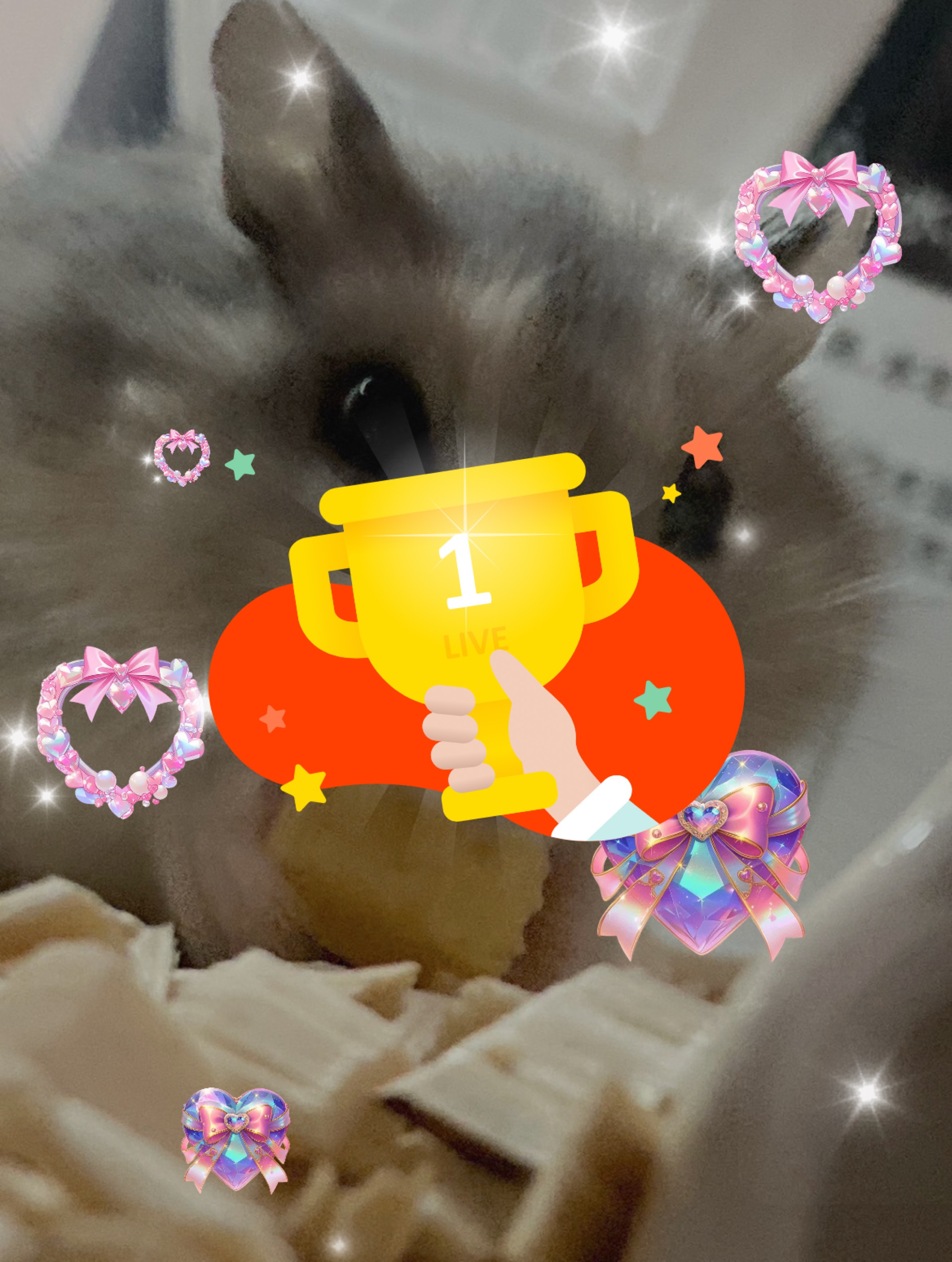 この枠では俺が法律だ