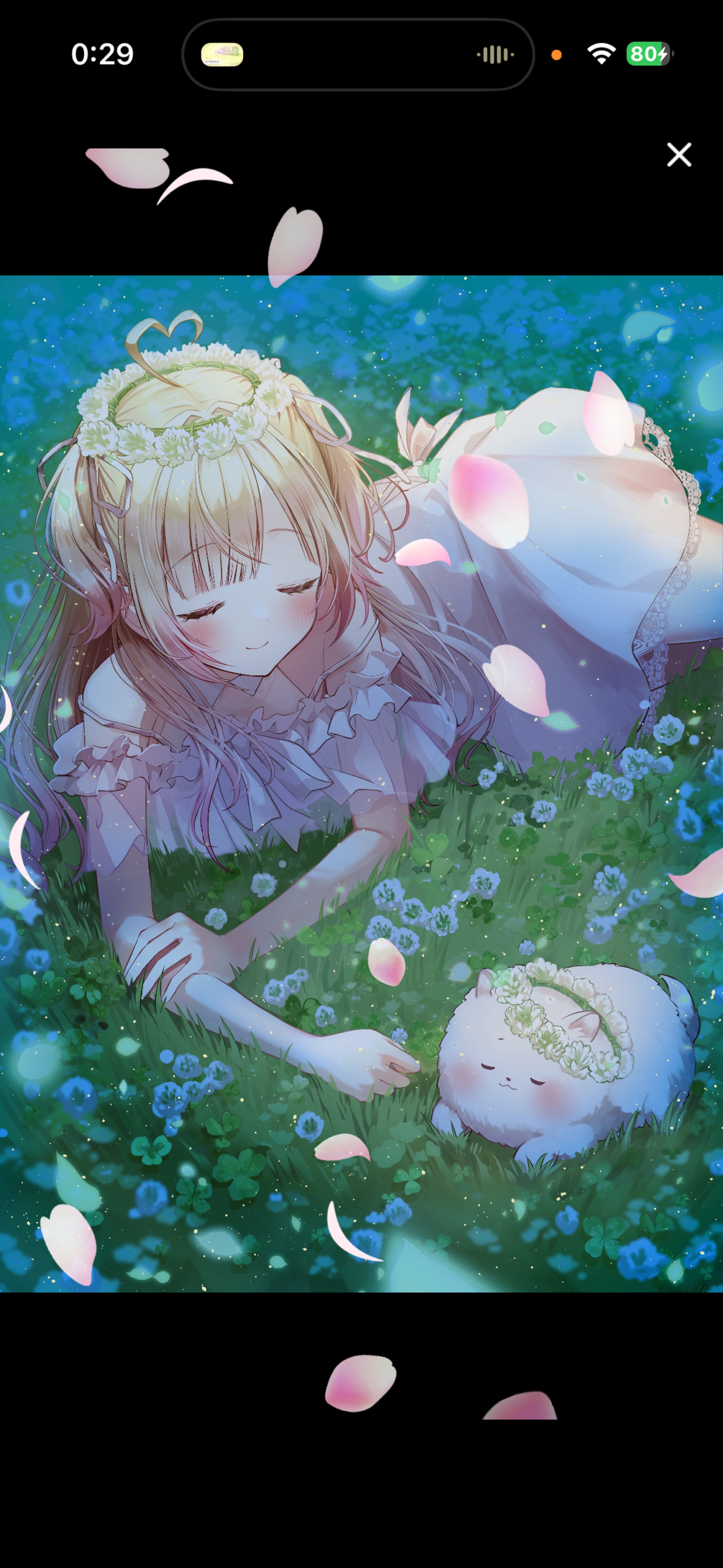 初潜寝◎おやすみしにきてね🐑💤