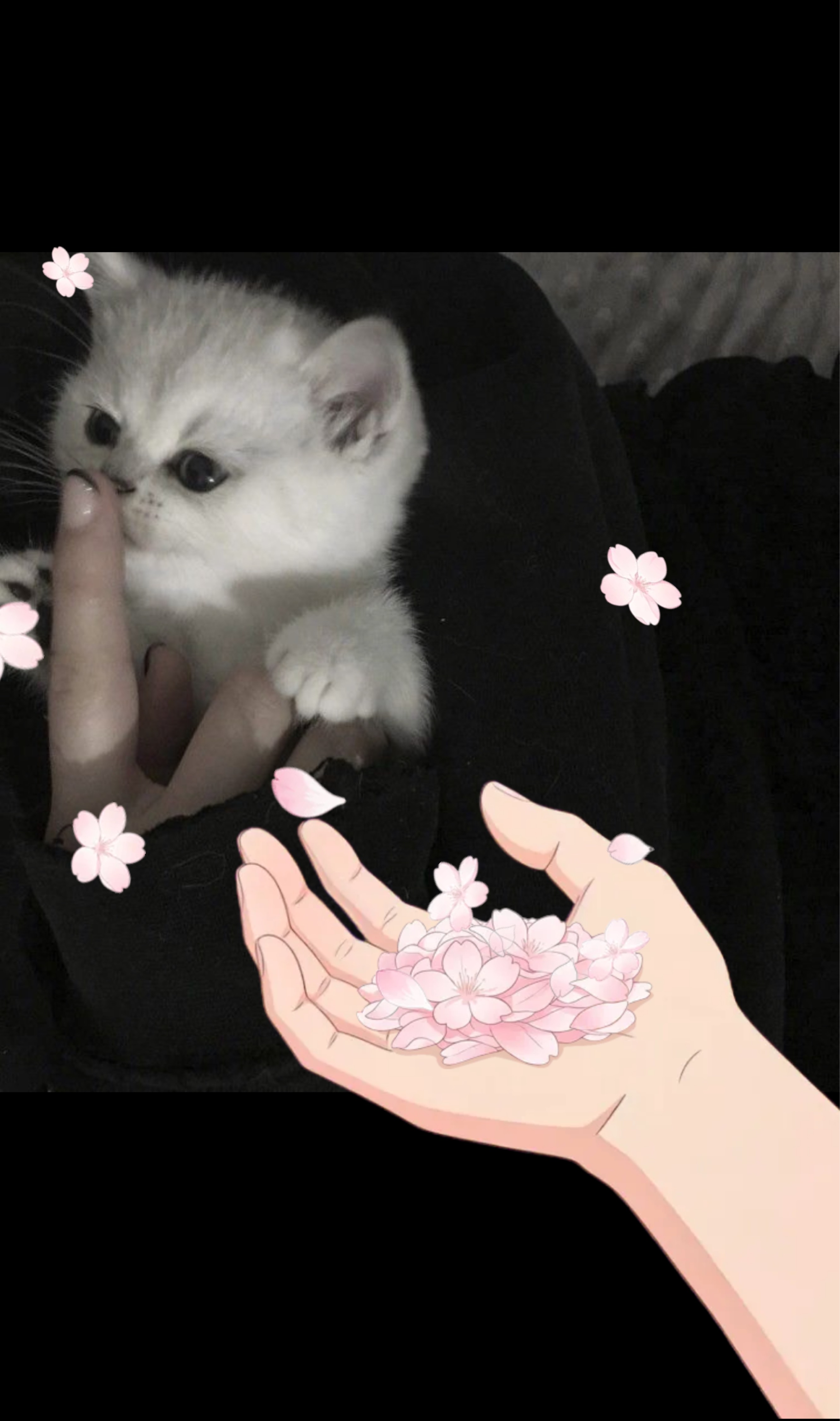 𝕽𝖊𝖖𝖚𝖎𝖊𝖒