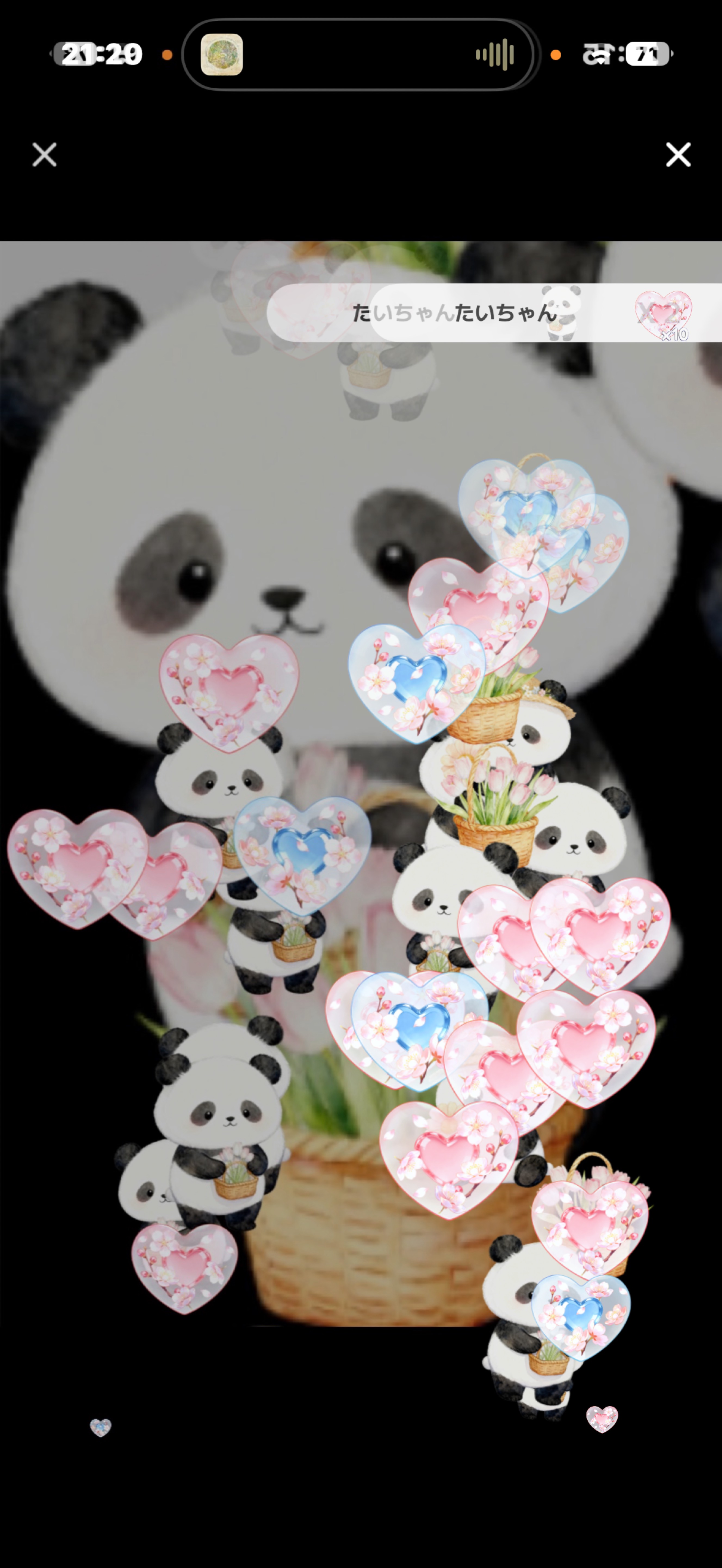 初寝潜◎1分おいでっ⊂(´꒳`)⊃