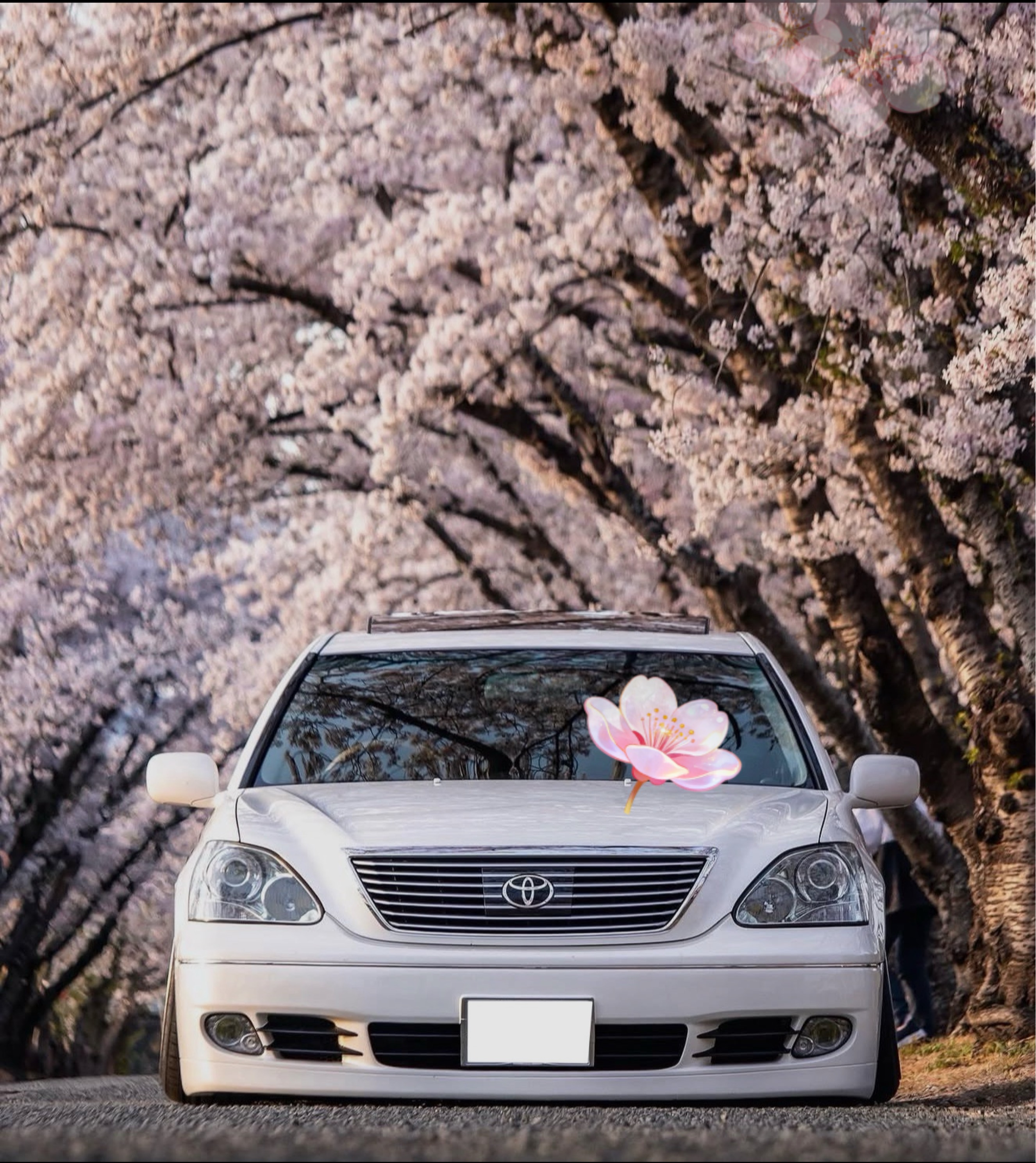 色々つらい(›´-`‹ )