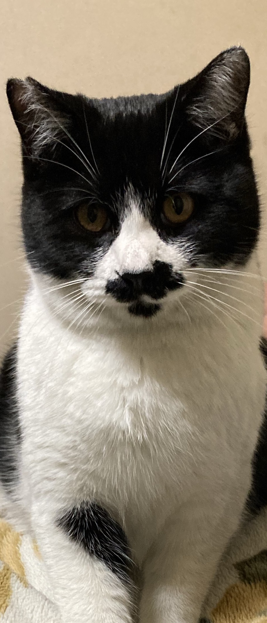 ショタボ好き集まれ