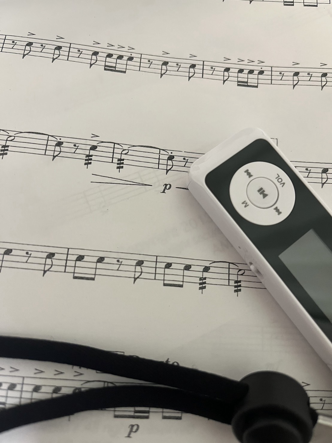 あつまれ！ばんばんの雑談勉強の森！（？）