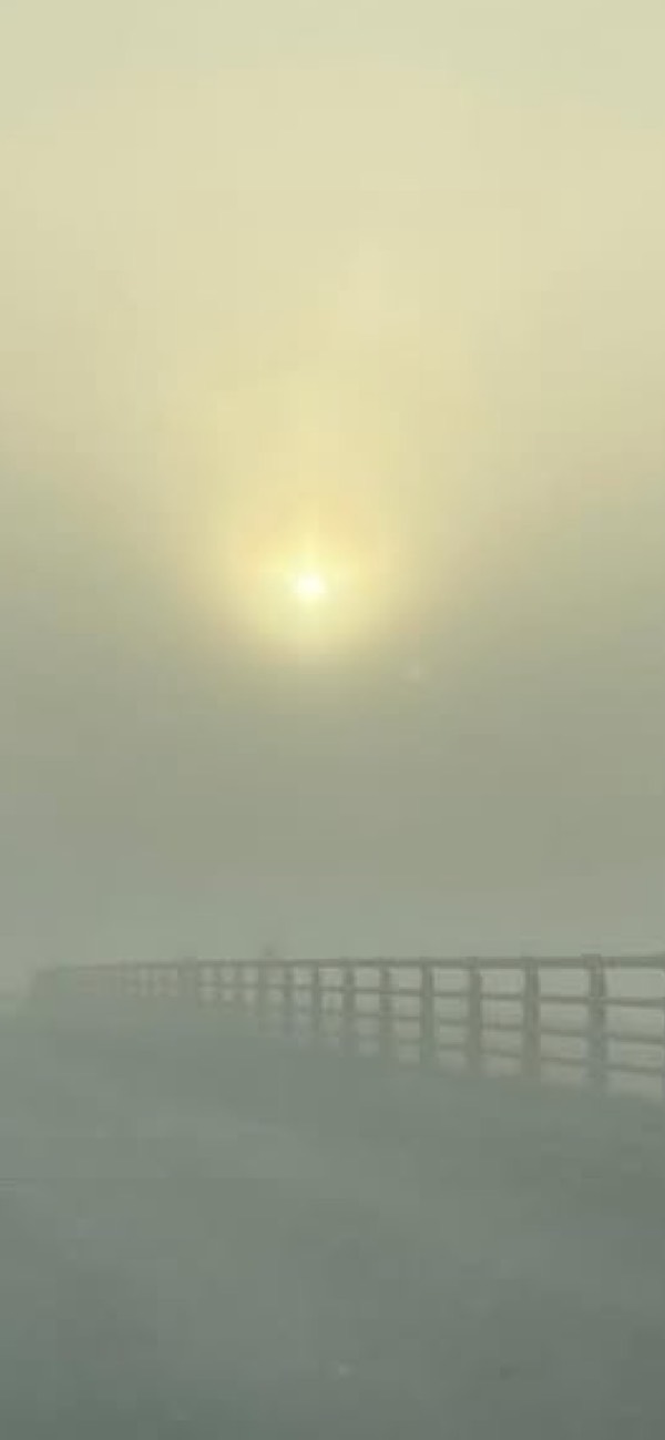 コラボ自由雑談枠