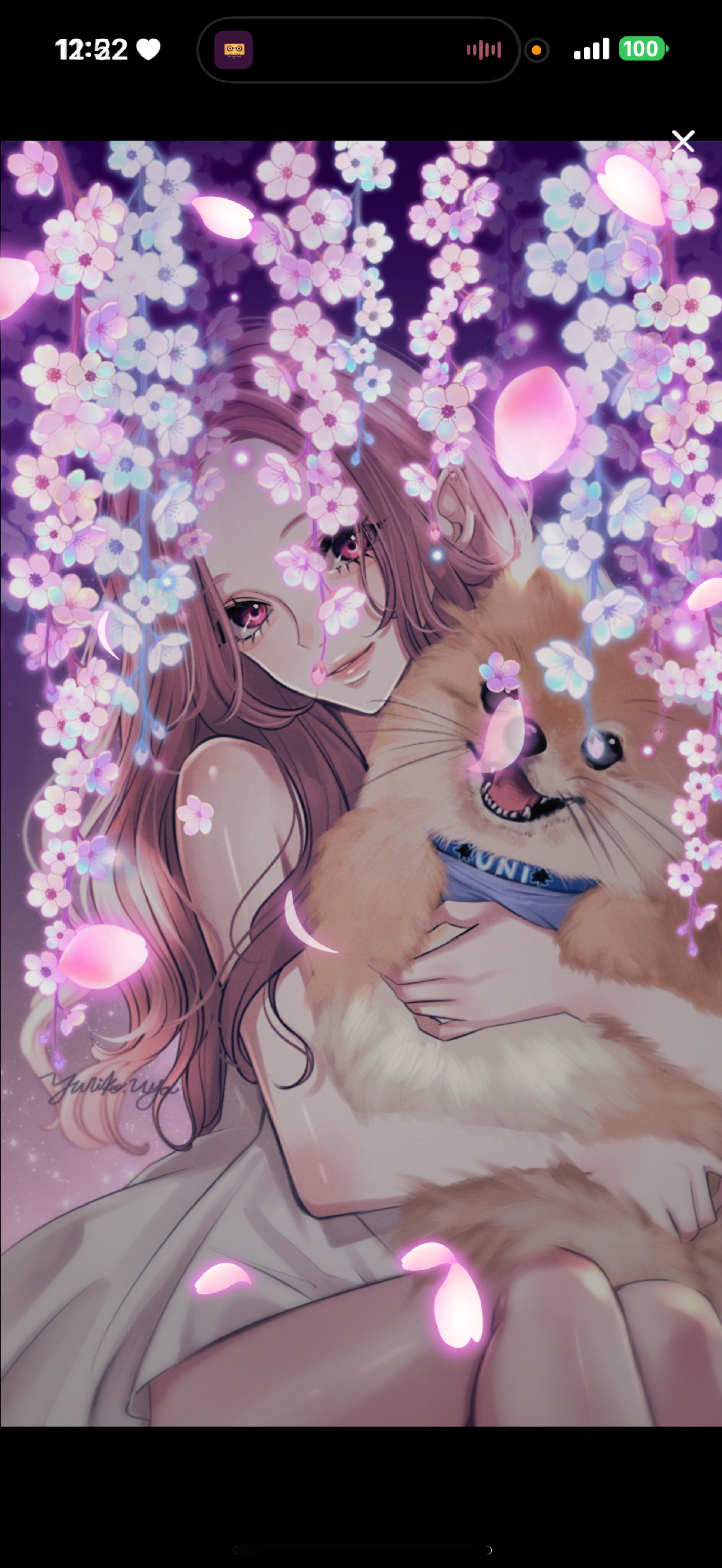 1h🕛꙼ᩚ ⌇ お昼休みにᵔ.  ̫.ᵔ