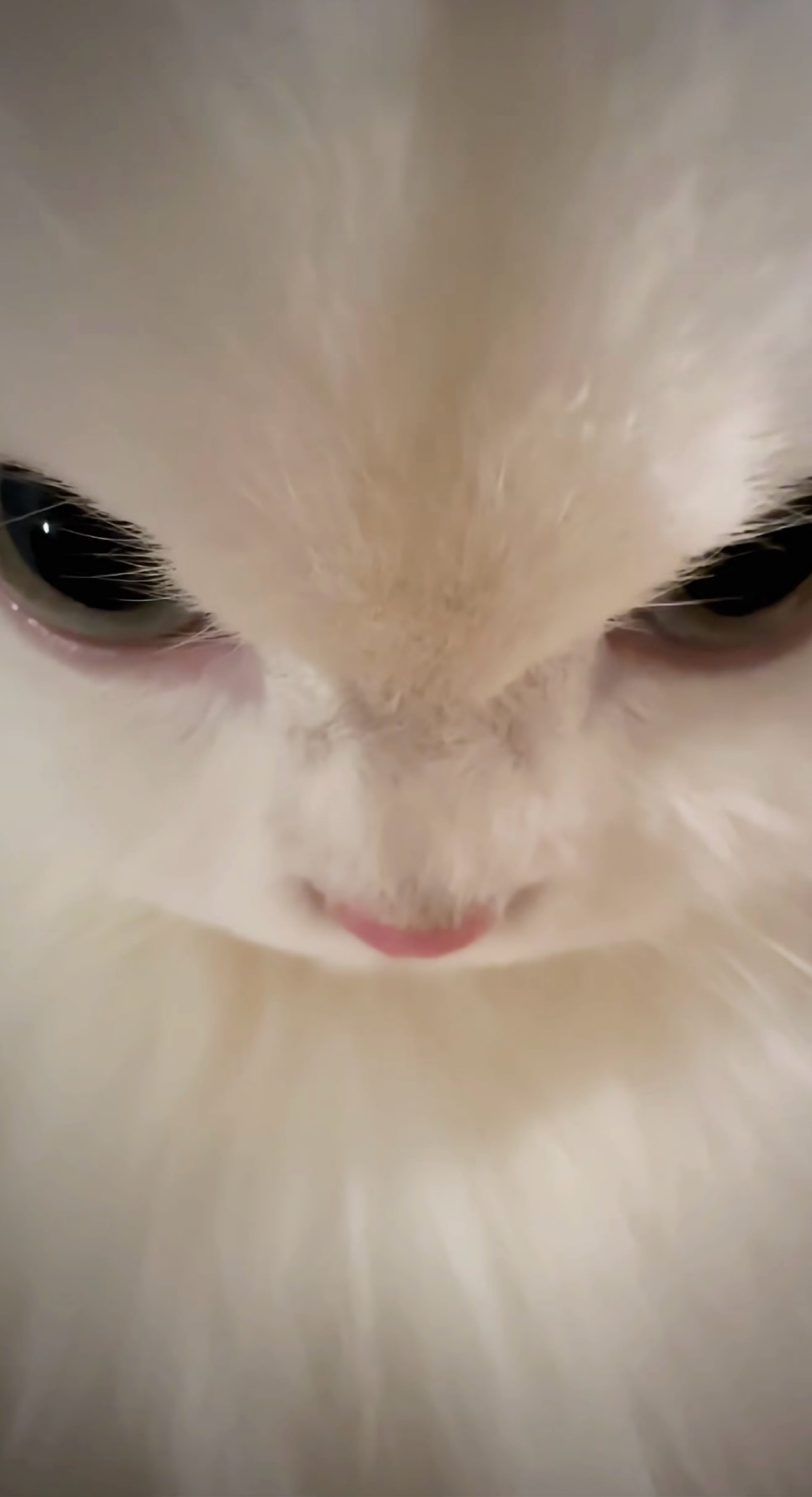 普通に寝落ちした