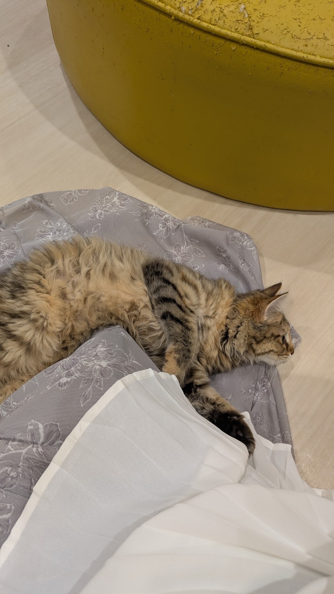 2h まっちょるよ❣️