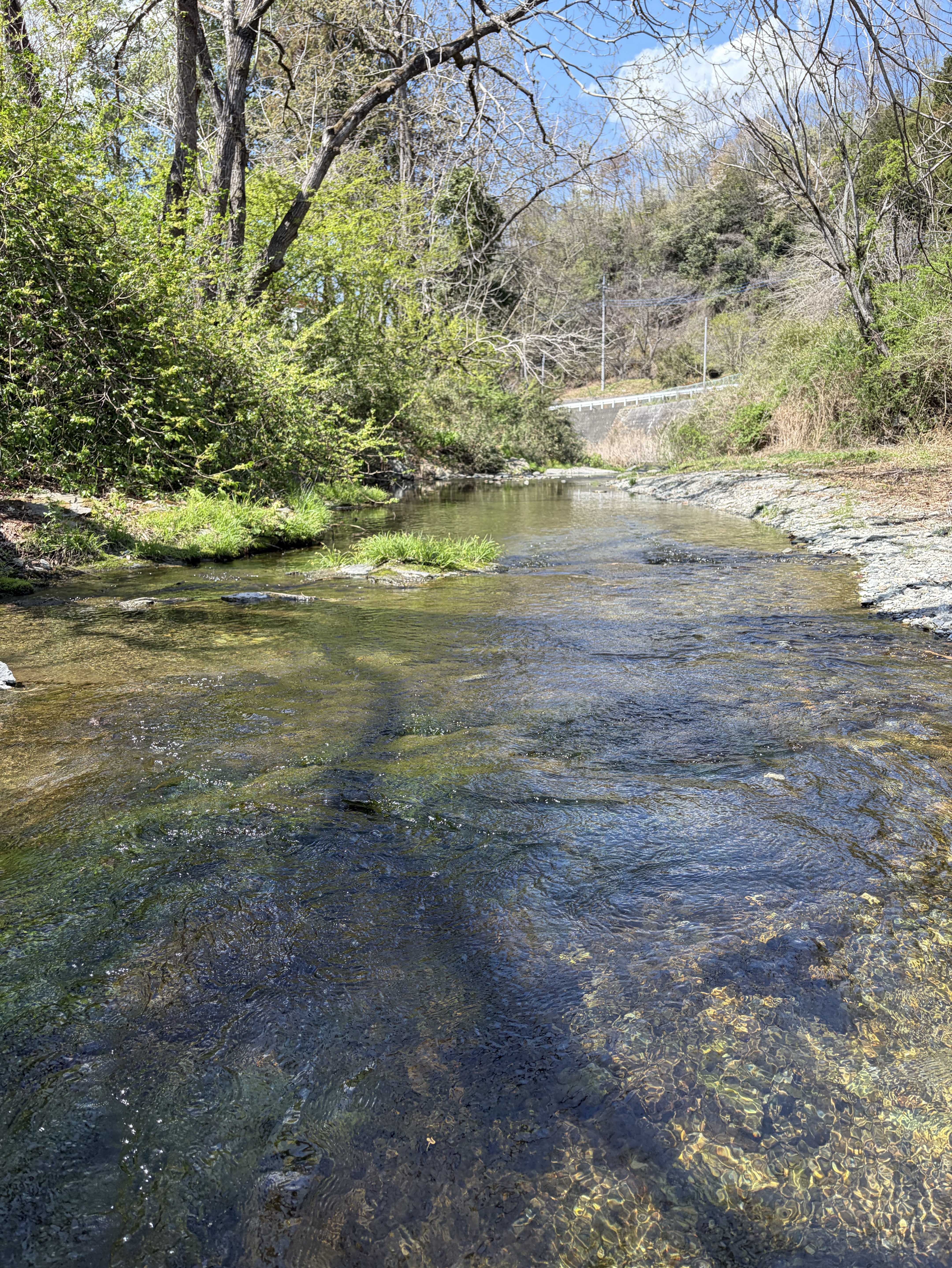 初見さんおいで！ まったり笑ってこうや〜
