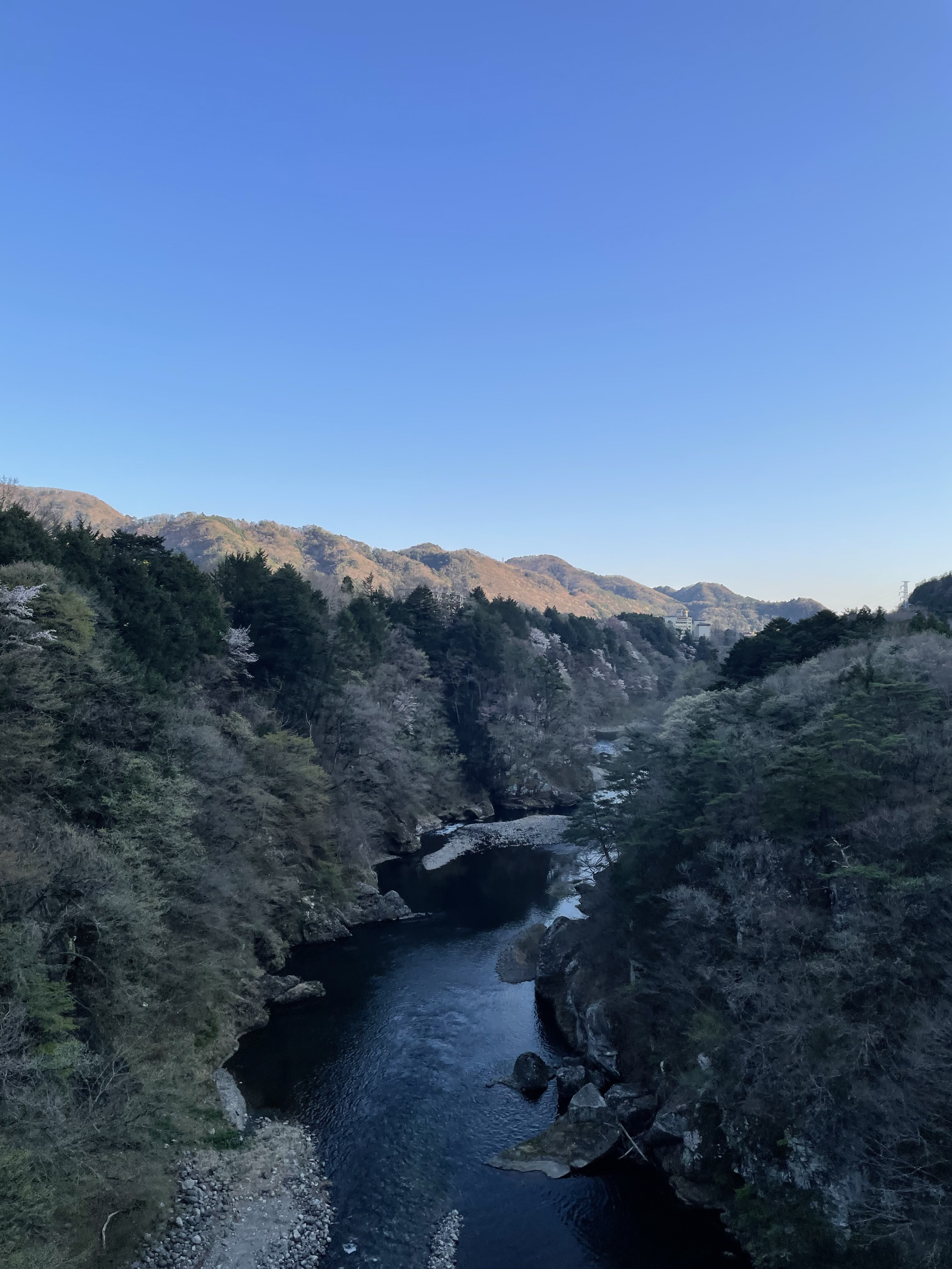 ひまなときもあるよね