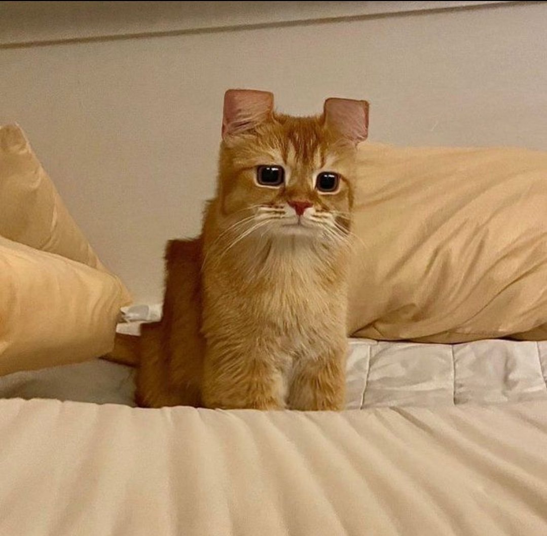 寝る前は人と話したいね