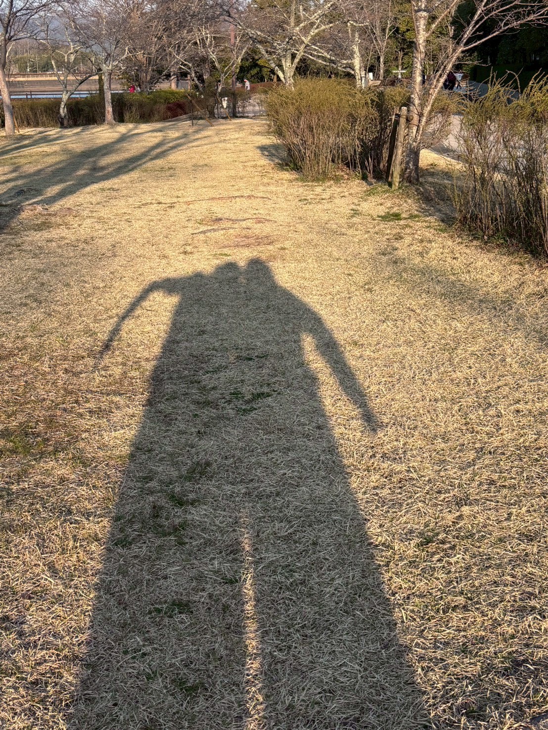 こんばん🍊初見さんおーいで