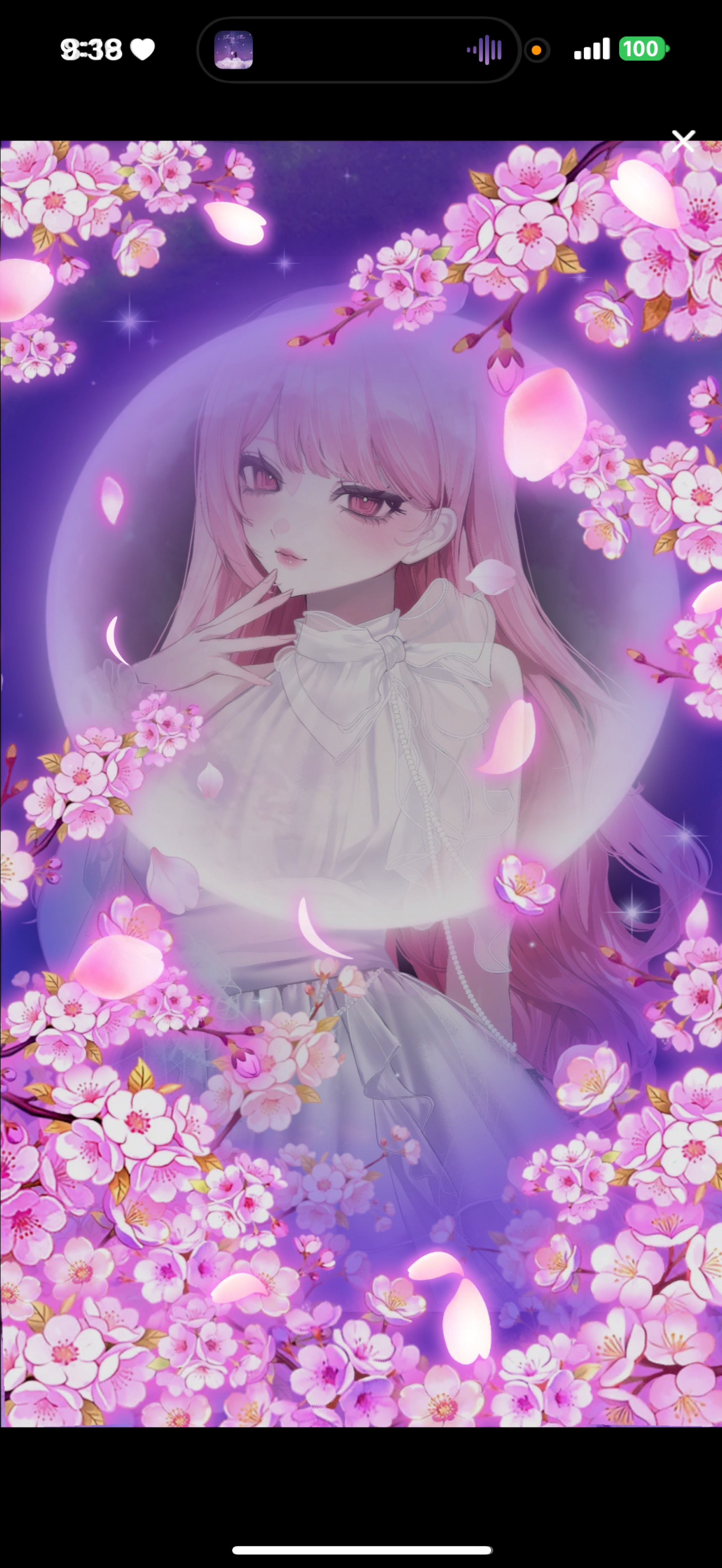 水曜日のおはよう