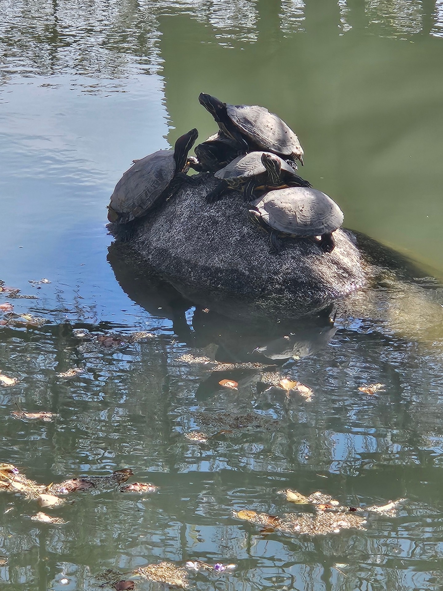 暇潰しにお話ししよう🎵