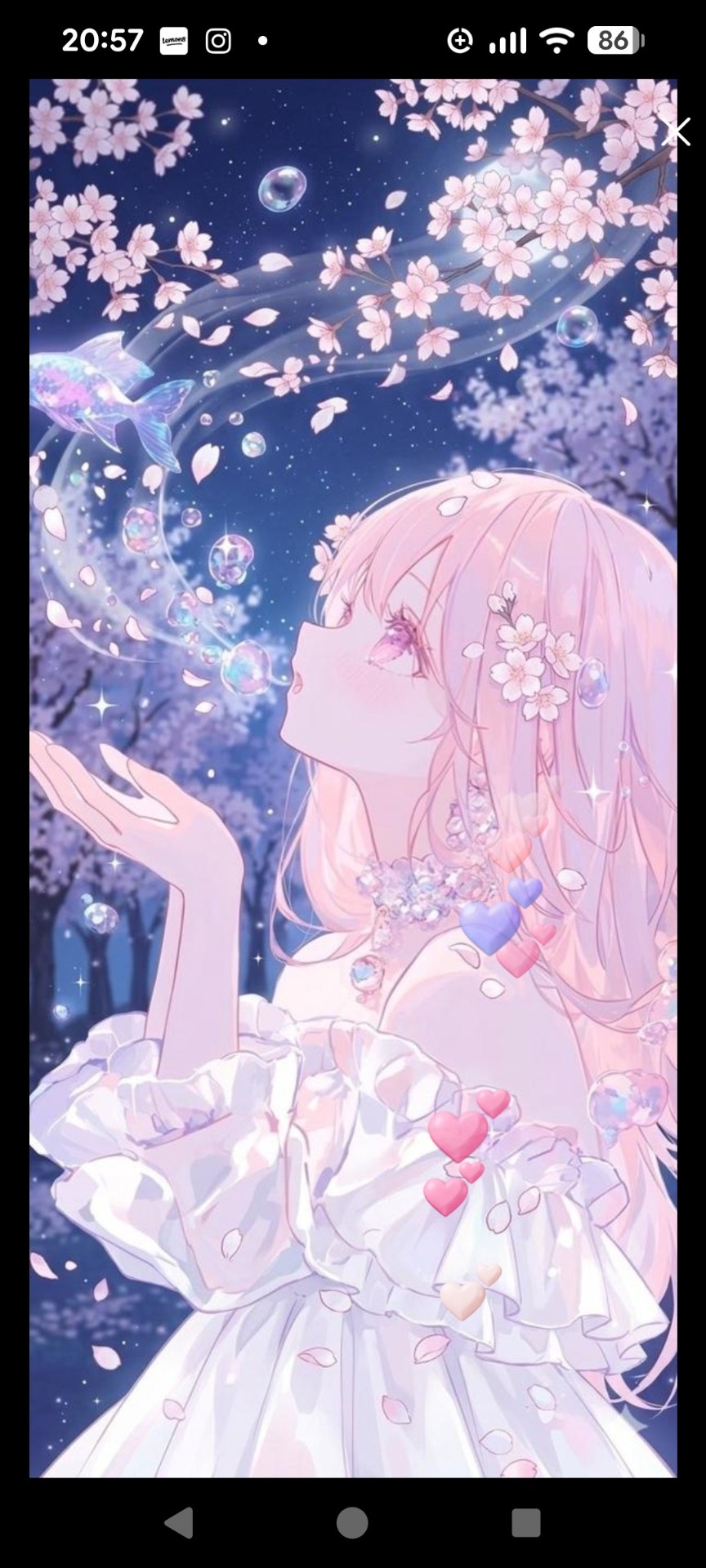 寝落ちしにおいで🌸