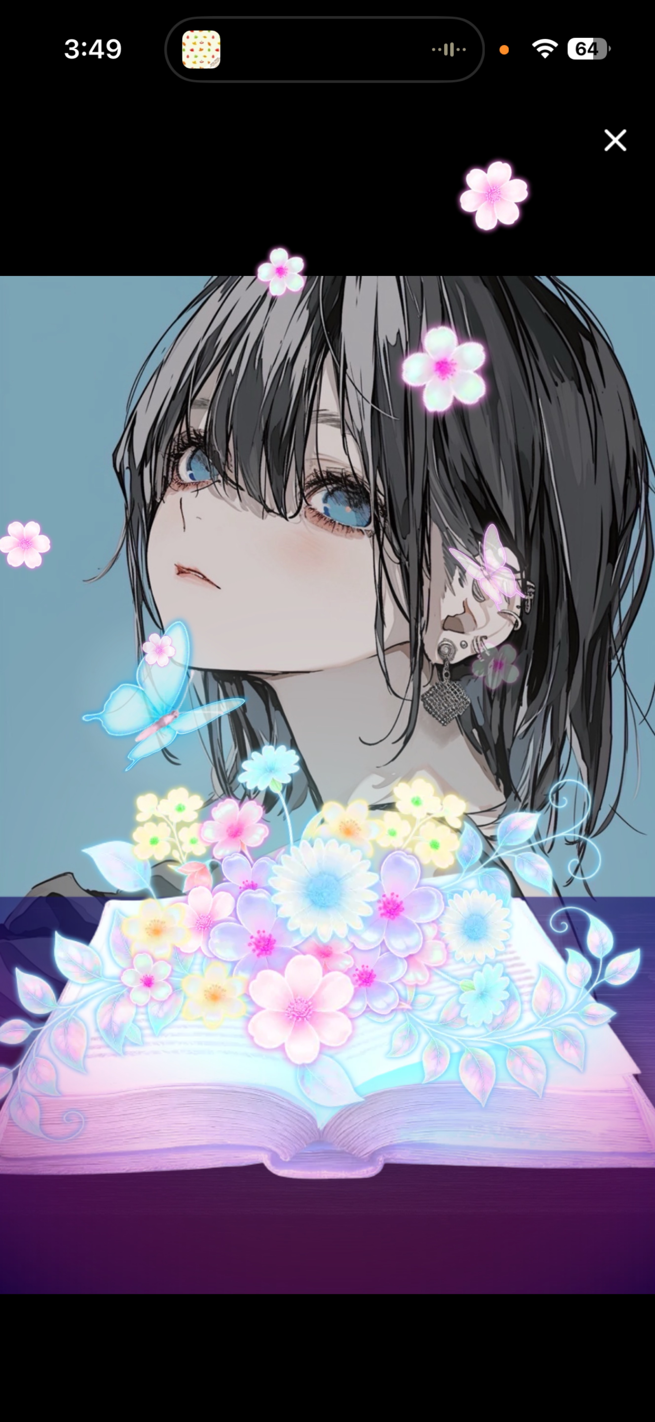 夜のひと笑い ’𖥦' ￤初潜◎