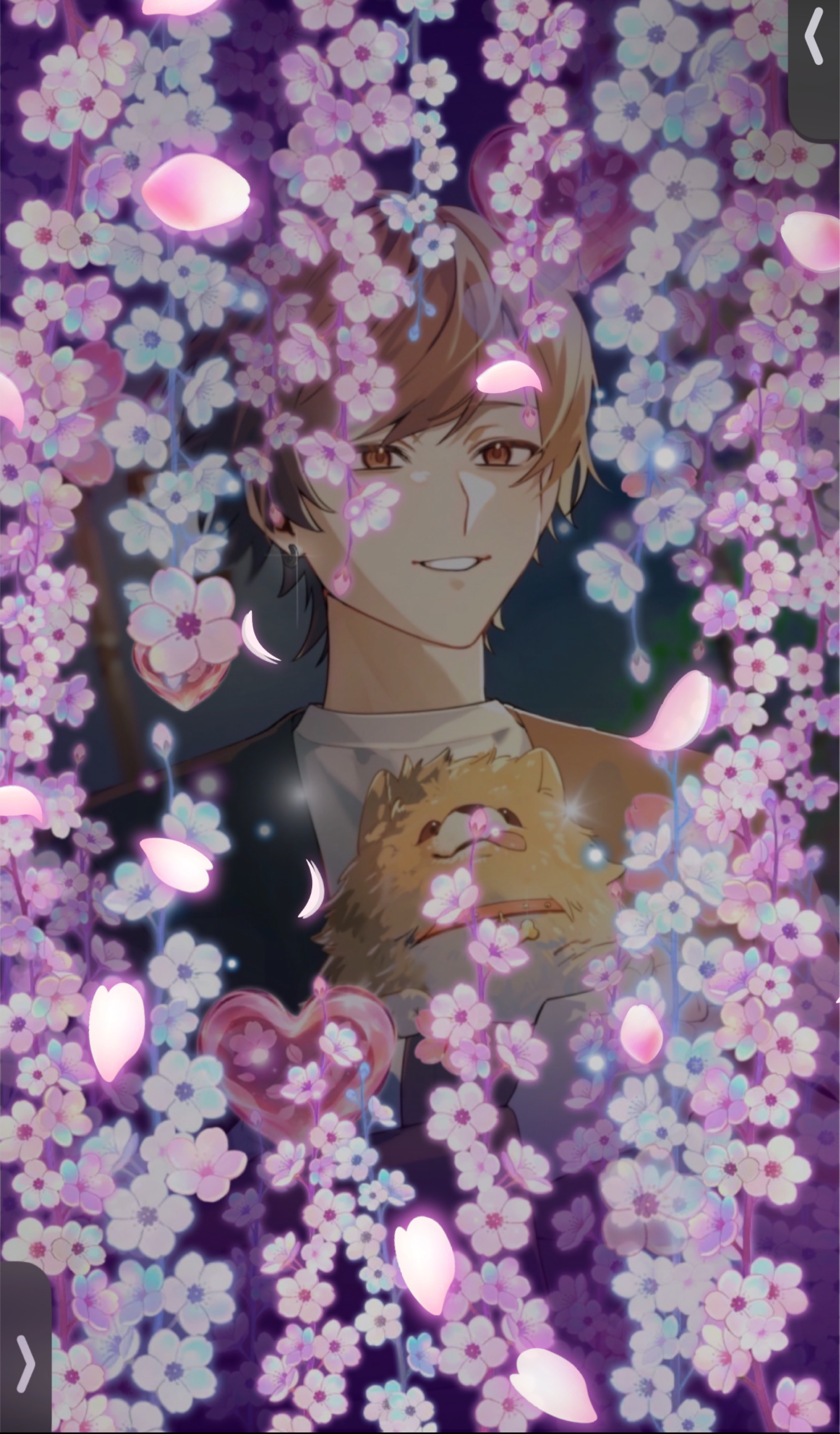 【初◎雑談/笑い癒され】