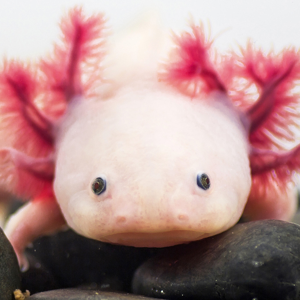 目、あったね👀❕