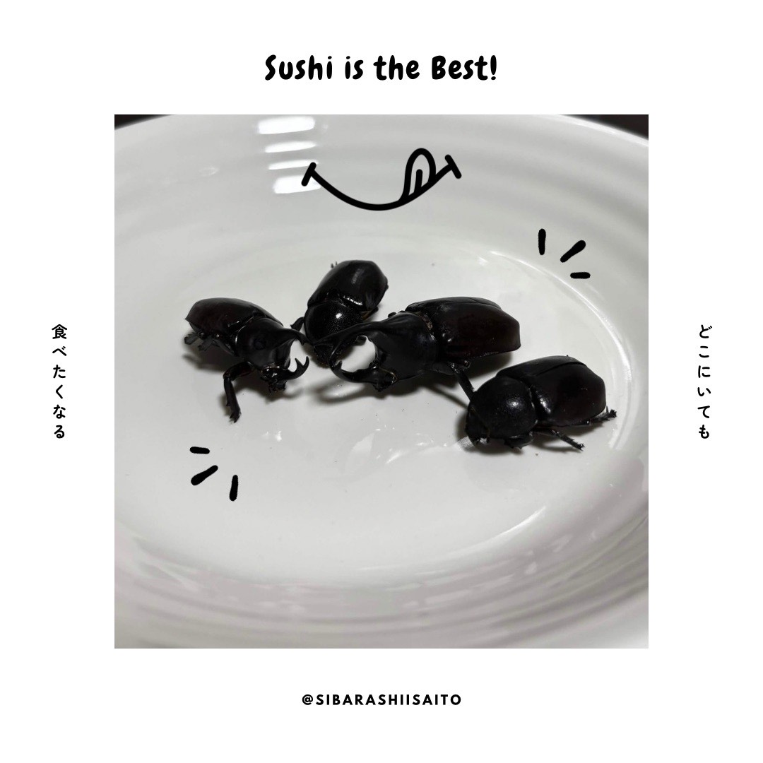 4th Anniv.『DFES‼️』