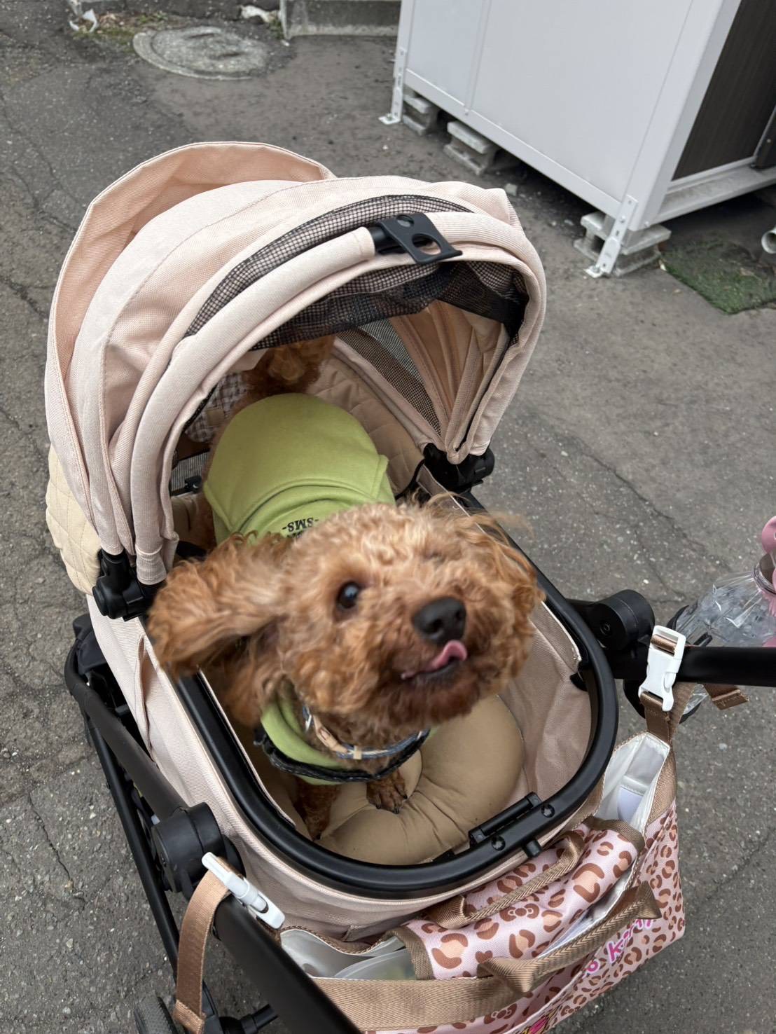 おふとんからｳﾏｰﾅ