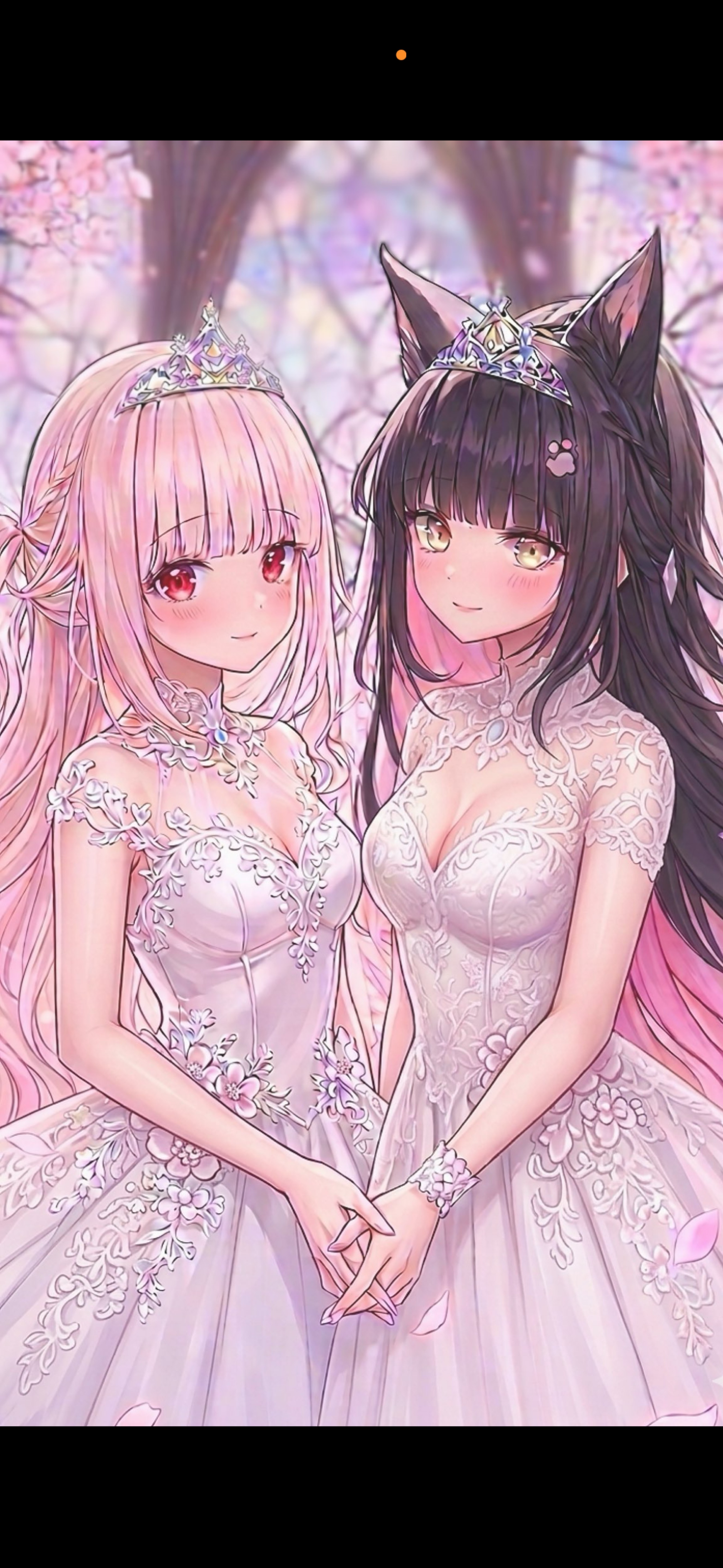 初潜⭕️びすこ誕生日❣️