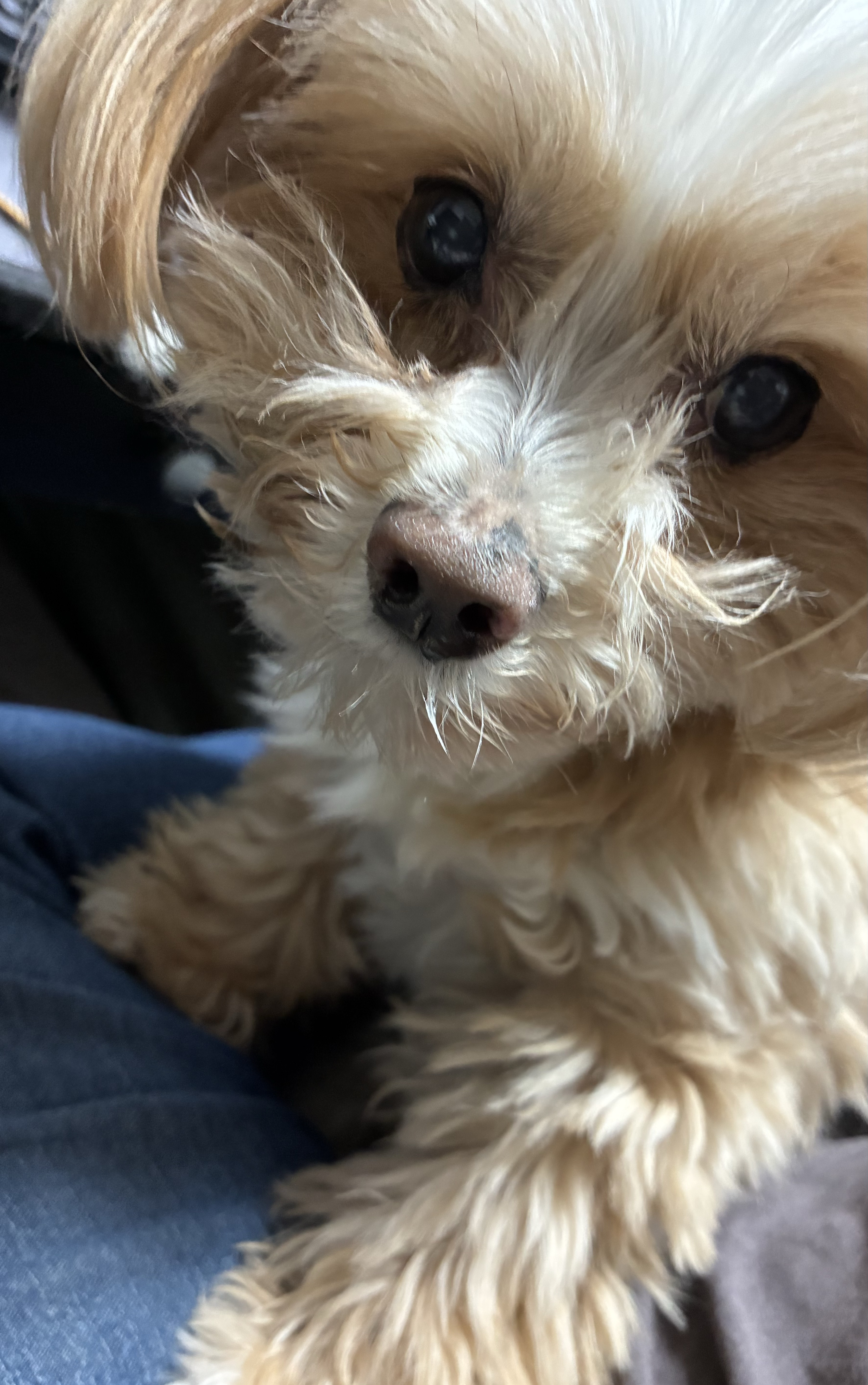 話していきませんか？(雑談/相談)