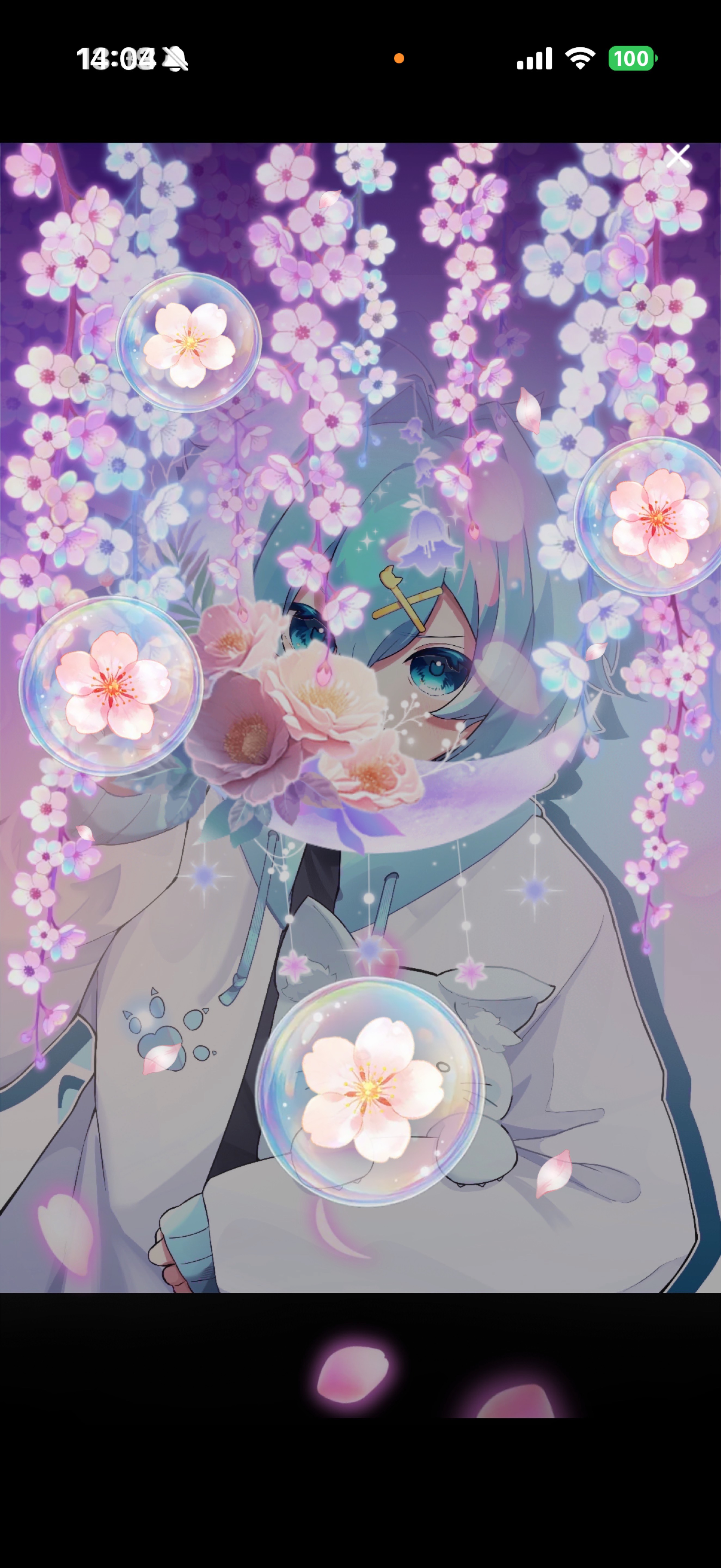 初見さんと話したい‼️