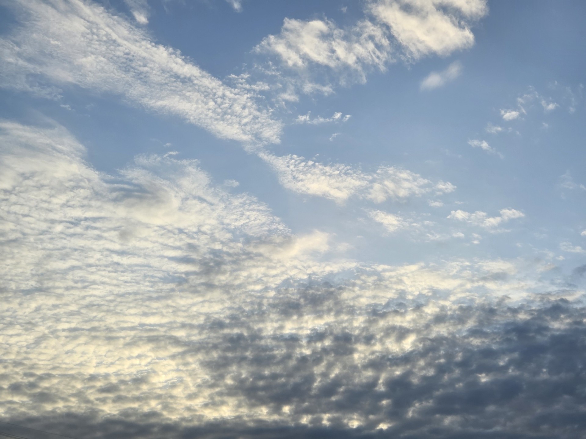 寝落ちの本読み　