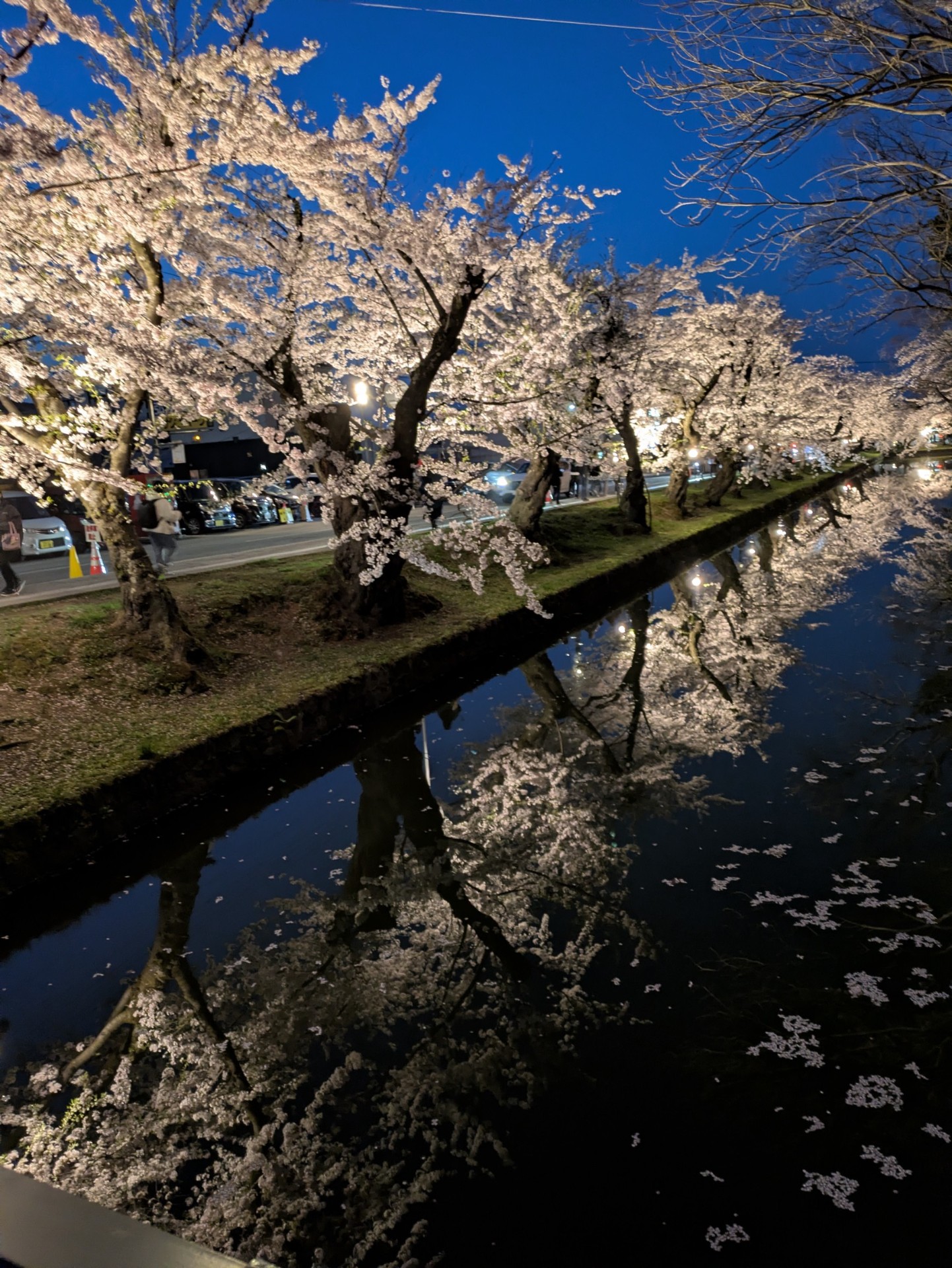 一緒に寝落ちしよう🌸