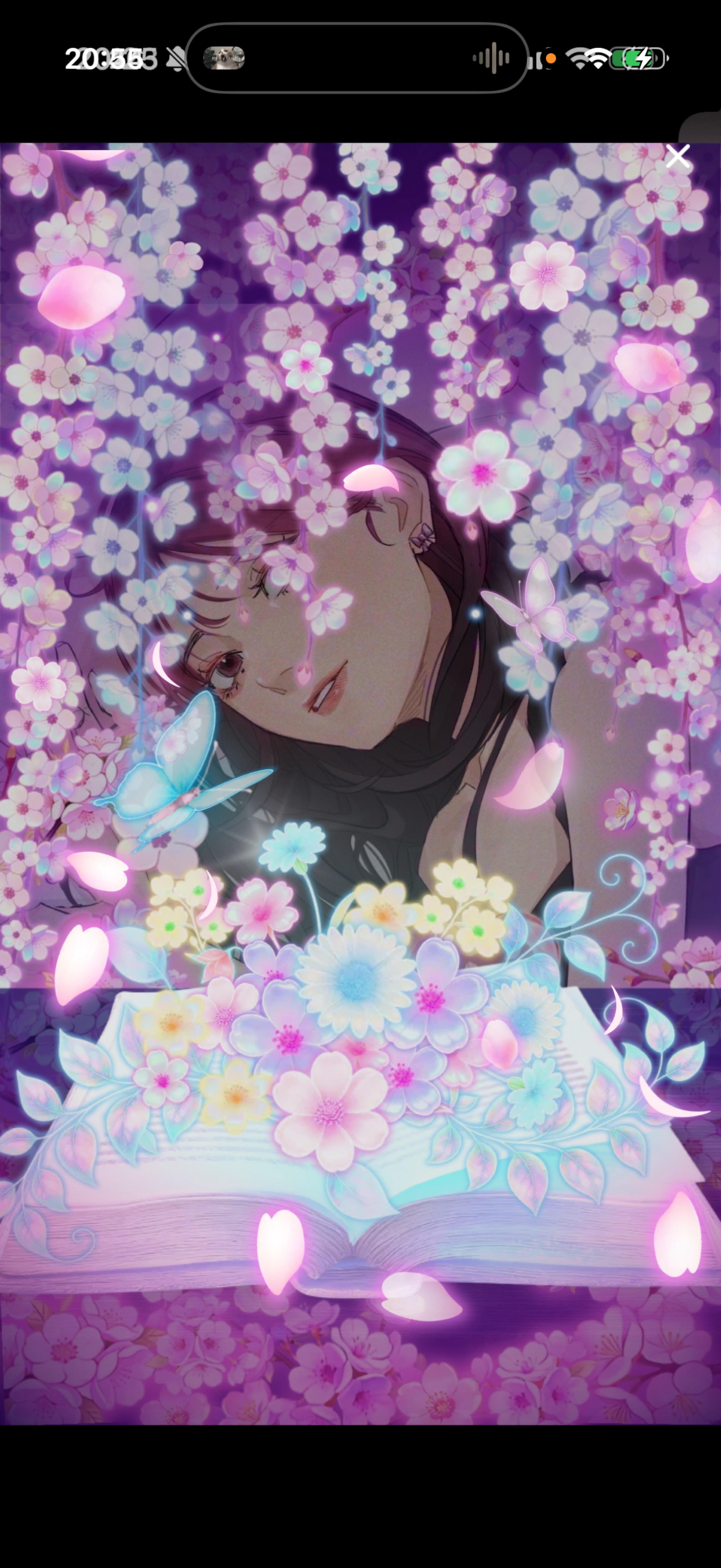 𝐁𝐢𝐫𝐭𝐡𝐝𝐚𝐲 𝐠𝐢𝐫𝐥 𖥔 ࣪