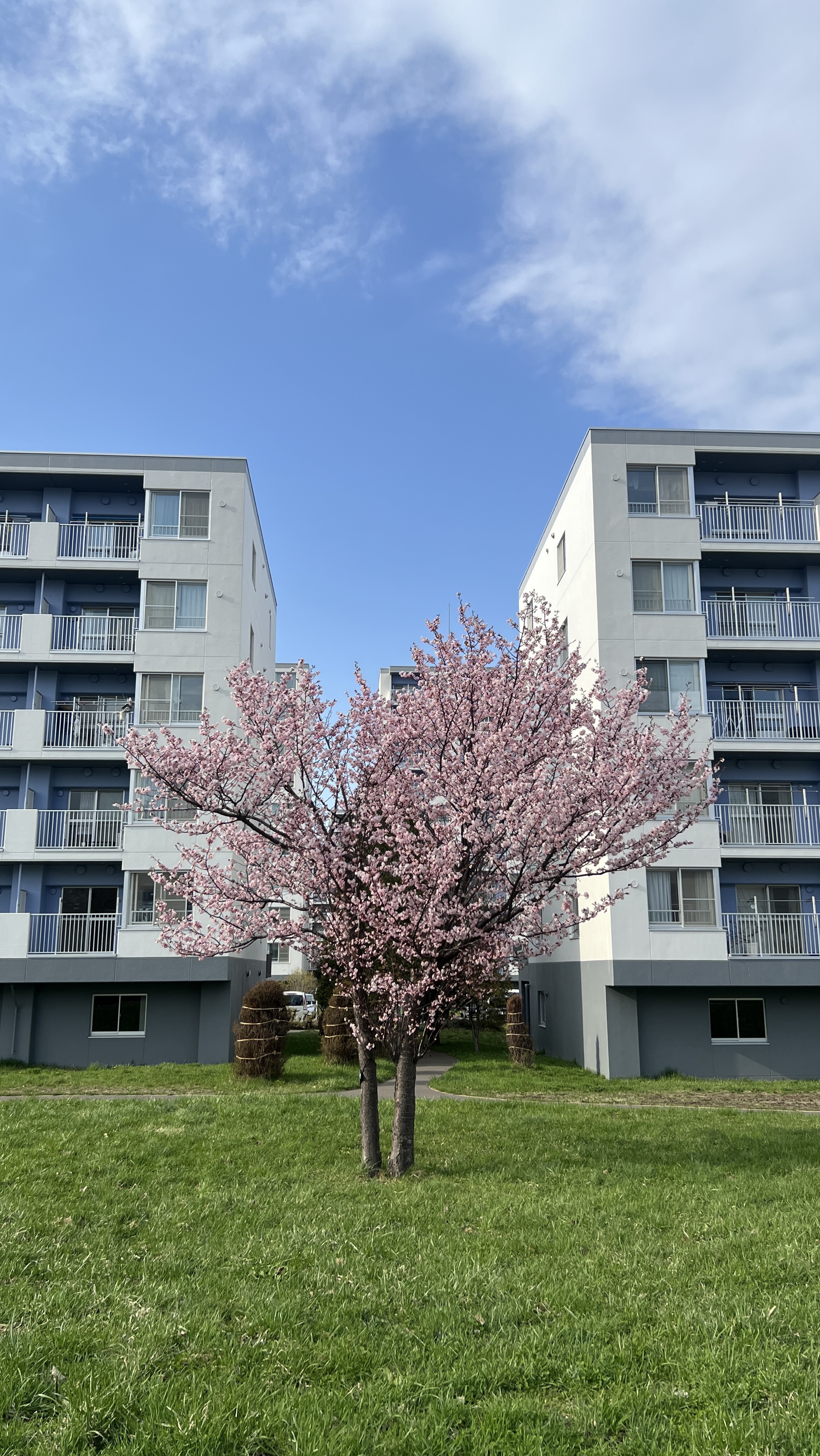 外から꜀(^. .^꜀  )꜆੭