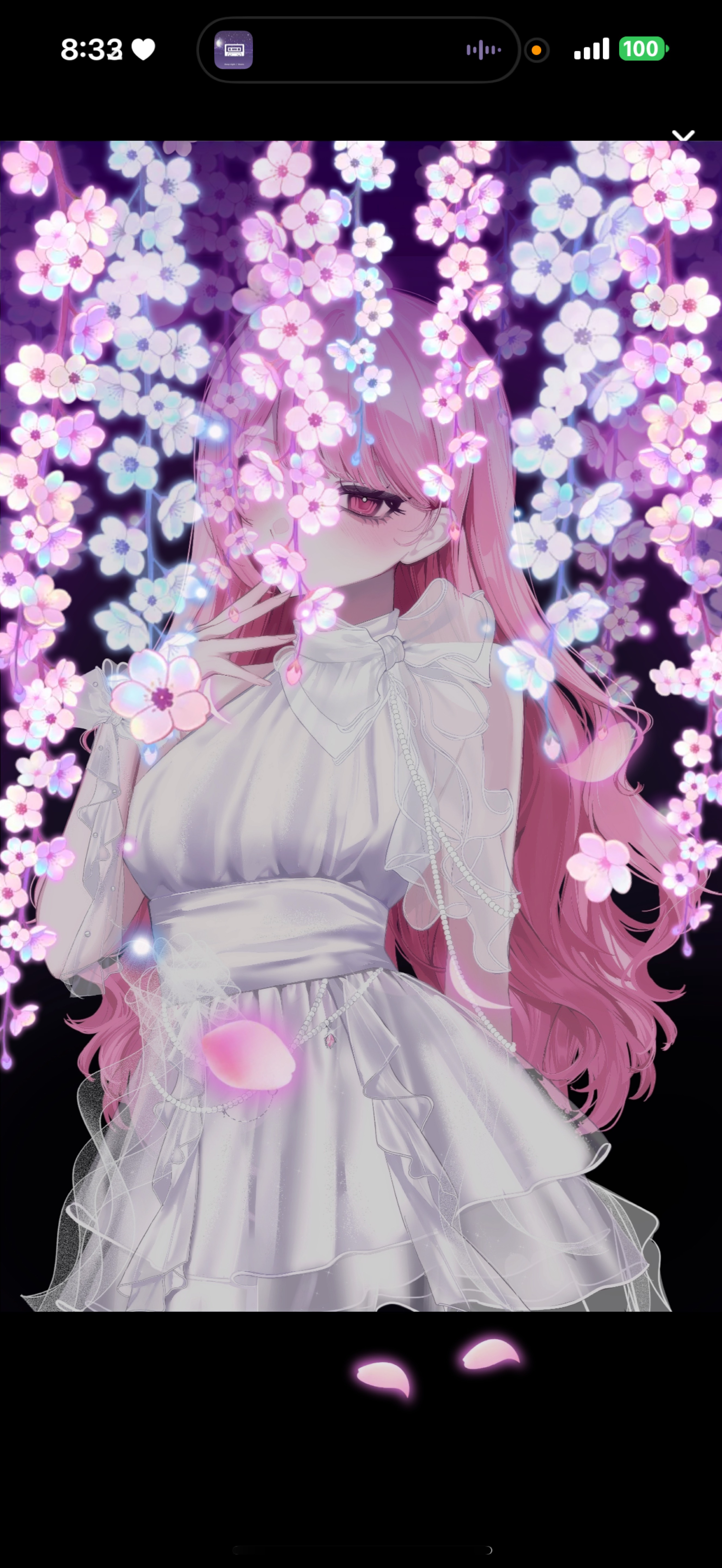 火曜日のおはよう🌿🥯