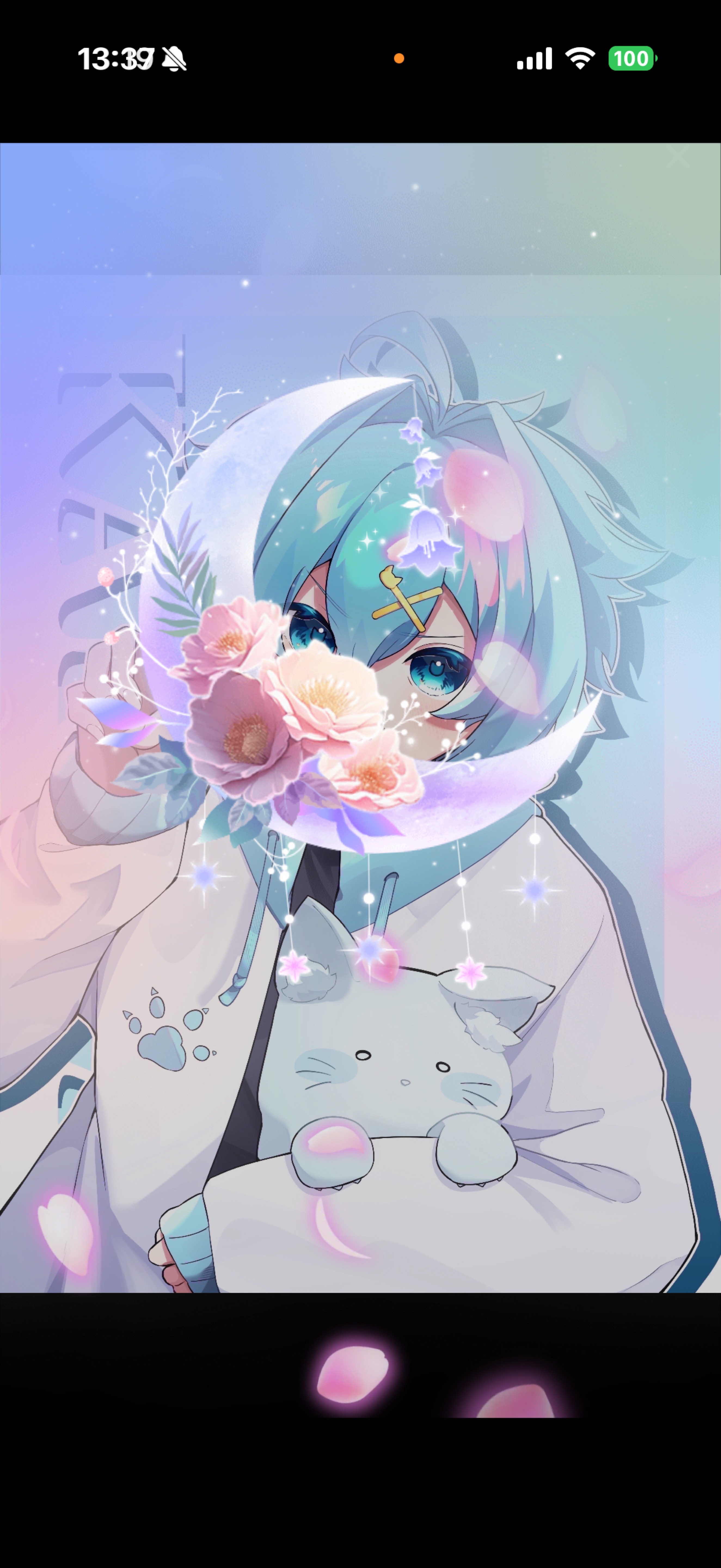 初見さんと話したい‼️