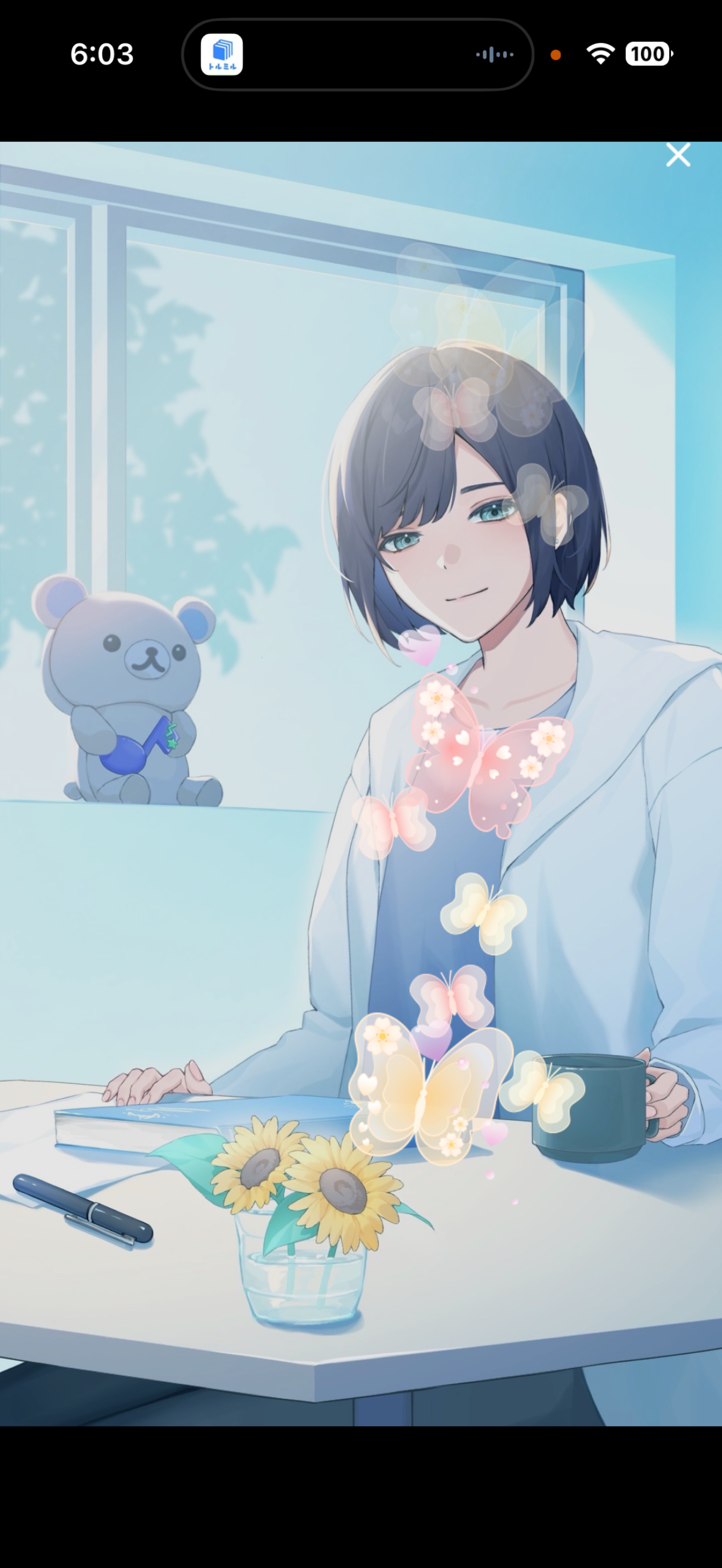 まったり中低音￤7:00まで☀️🌿‬