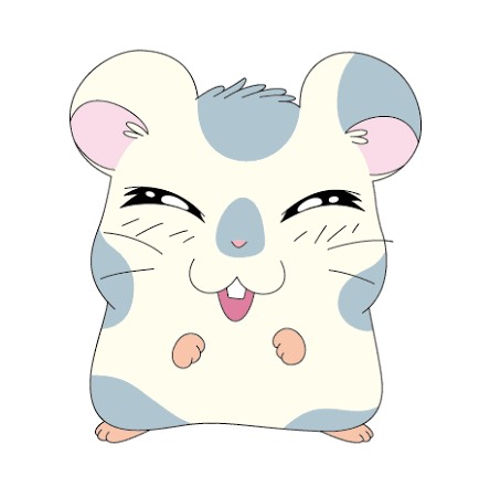 初見是非きてください🙇