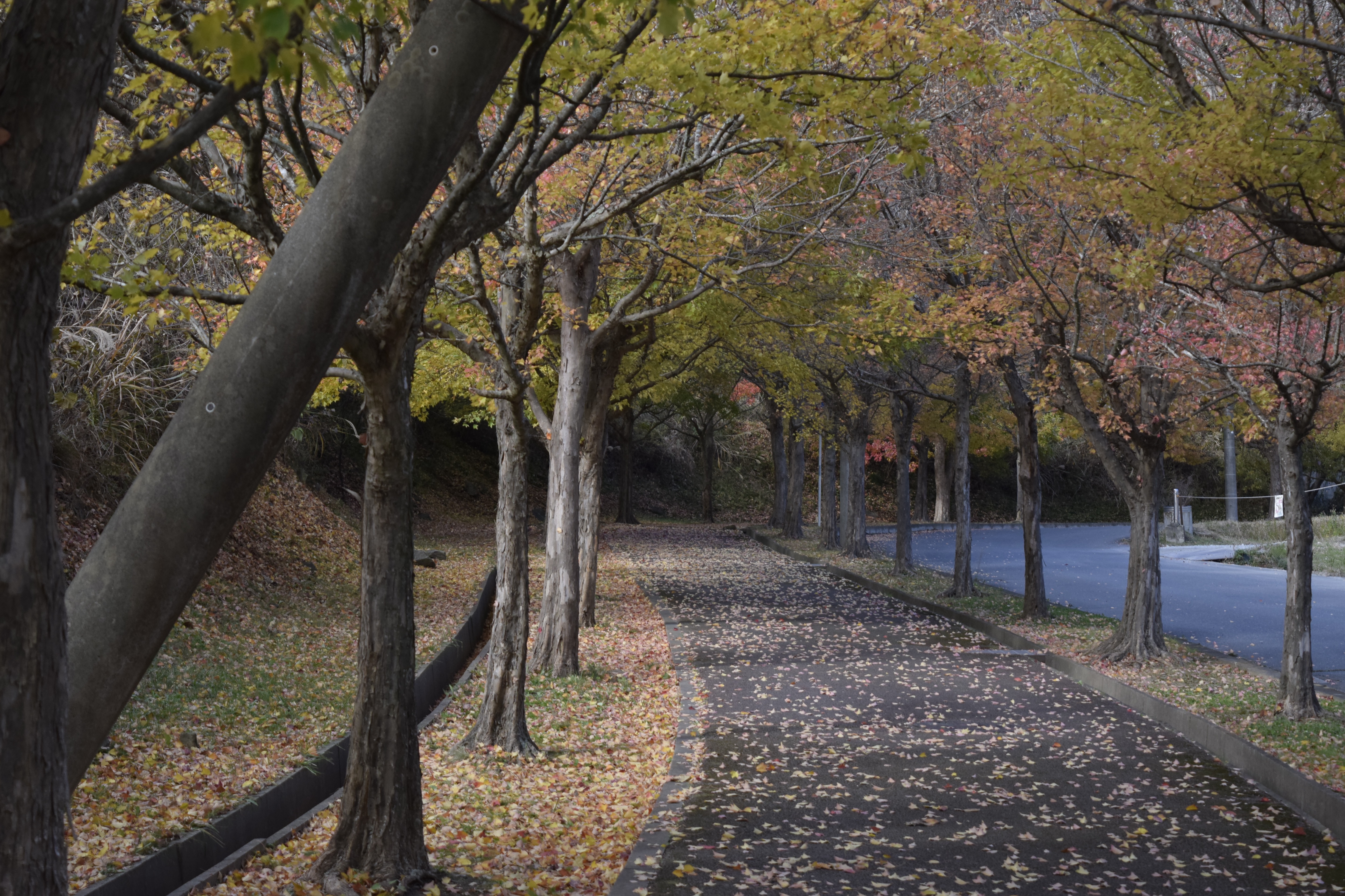 吐息をかけて欲しい配信💓‪