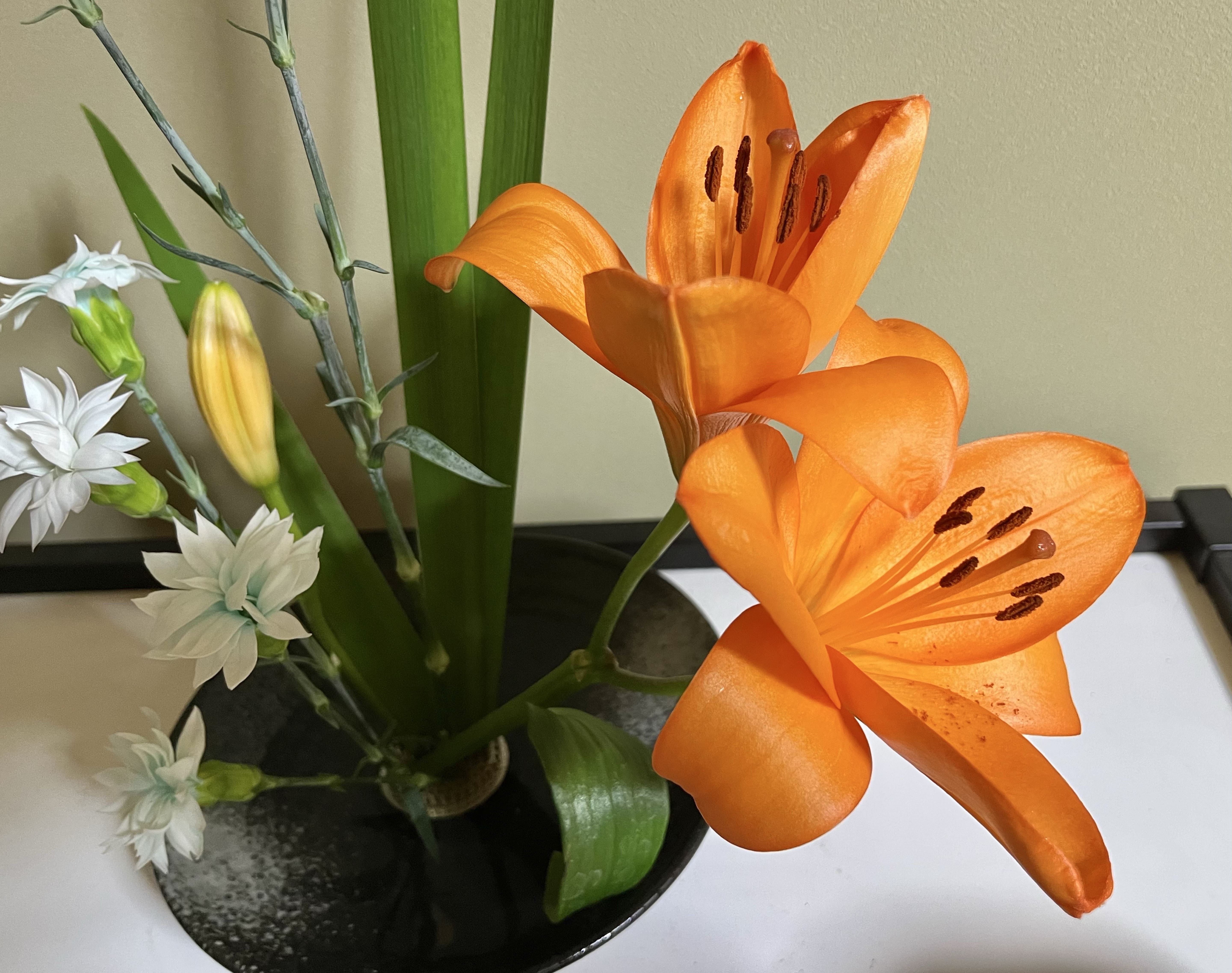 雑談をしていますよ🔆