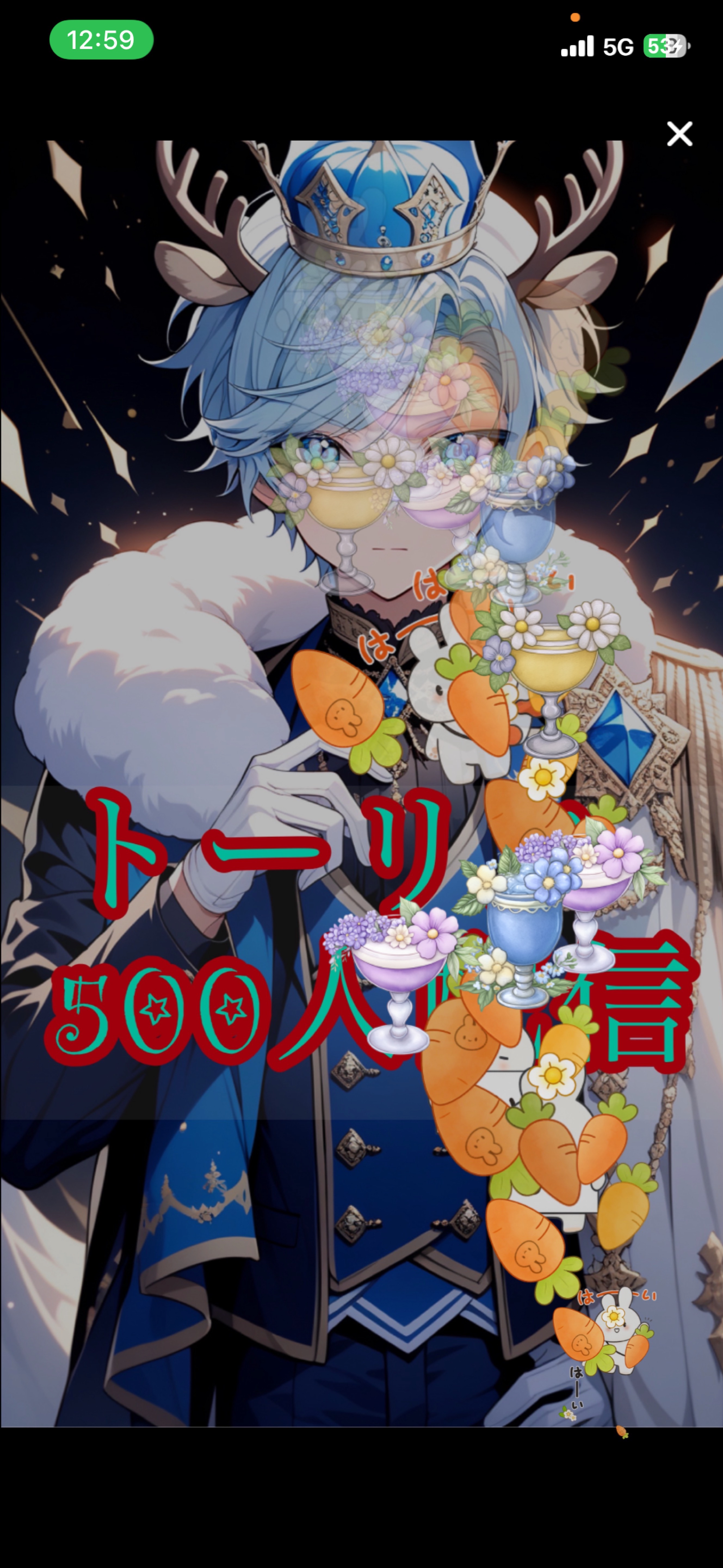 初見さんに優しいトーリス500🔥