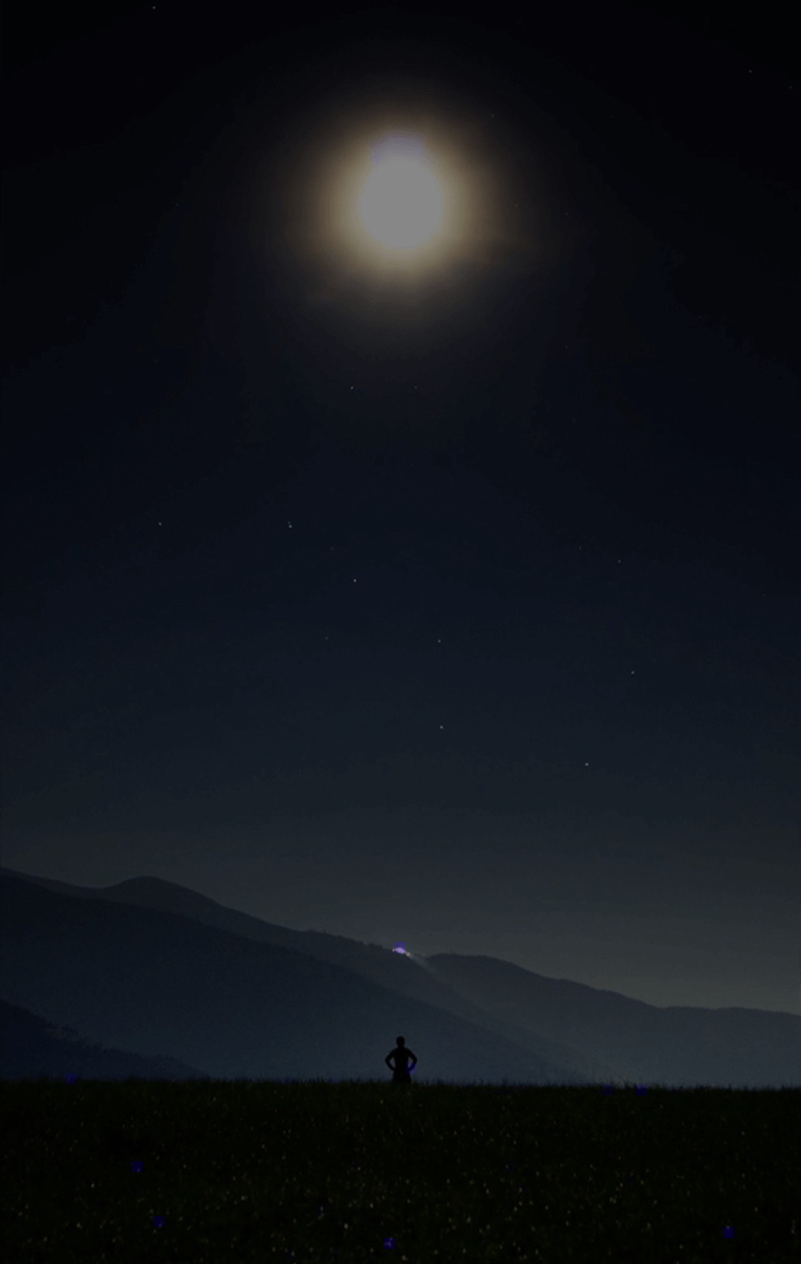 モンハンサンブレのんびり😇初見潜寝落〇