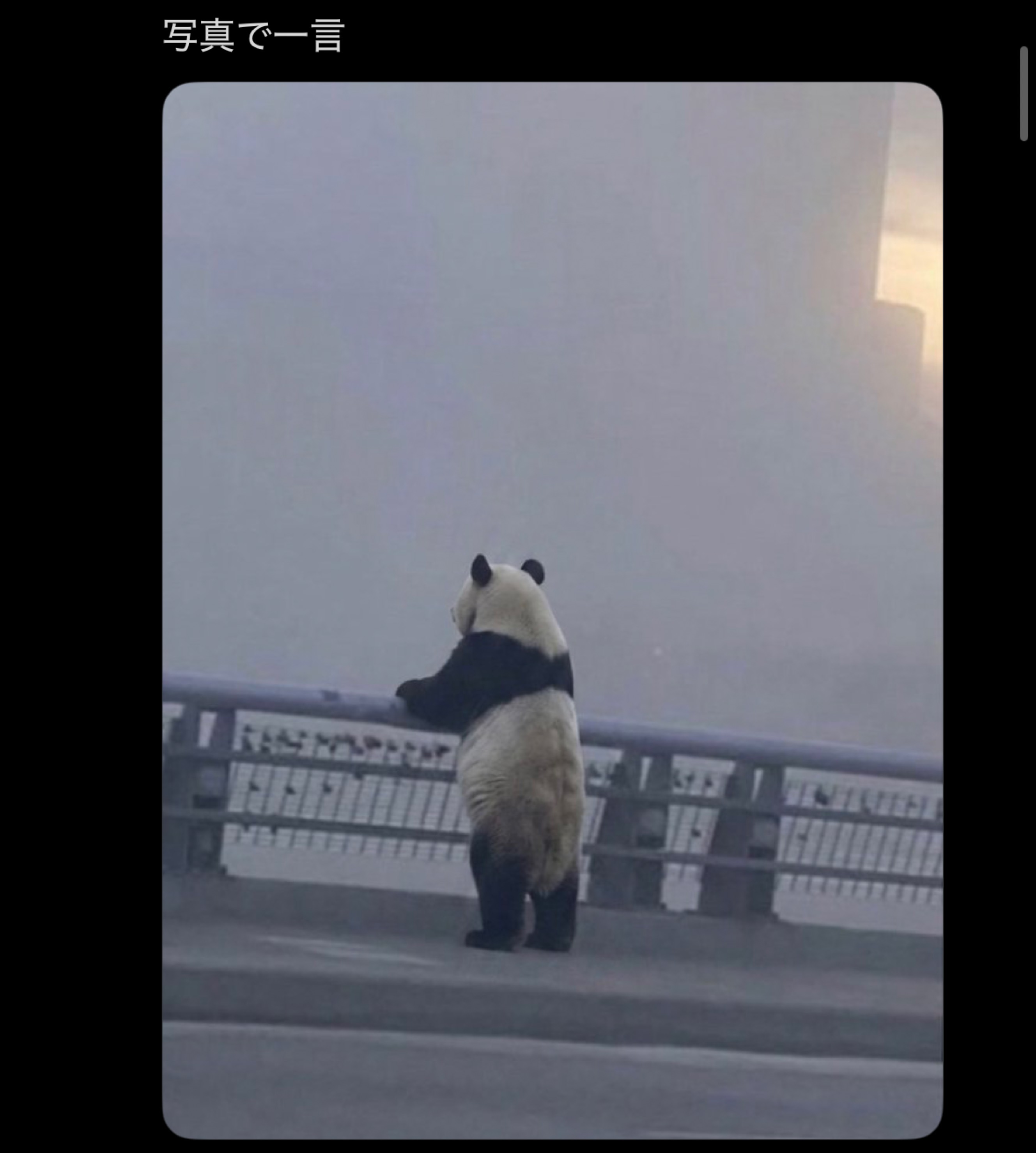 少し話してこや