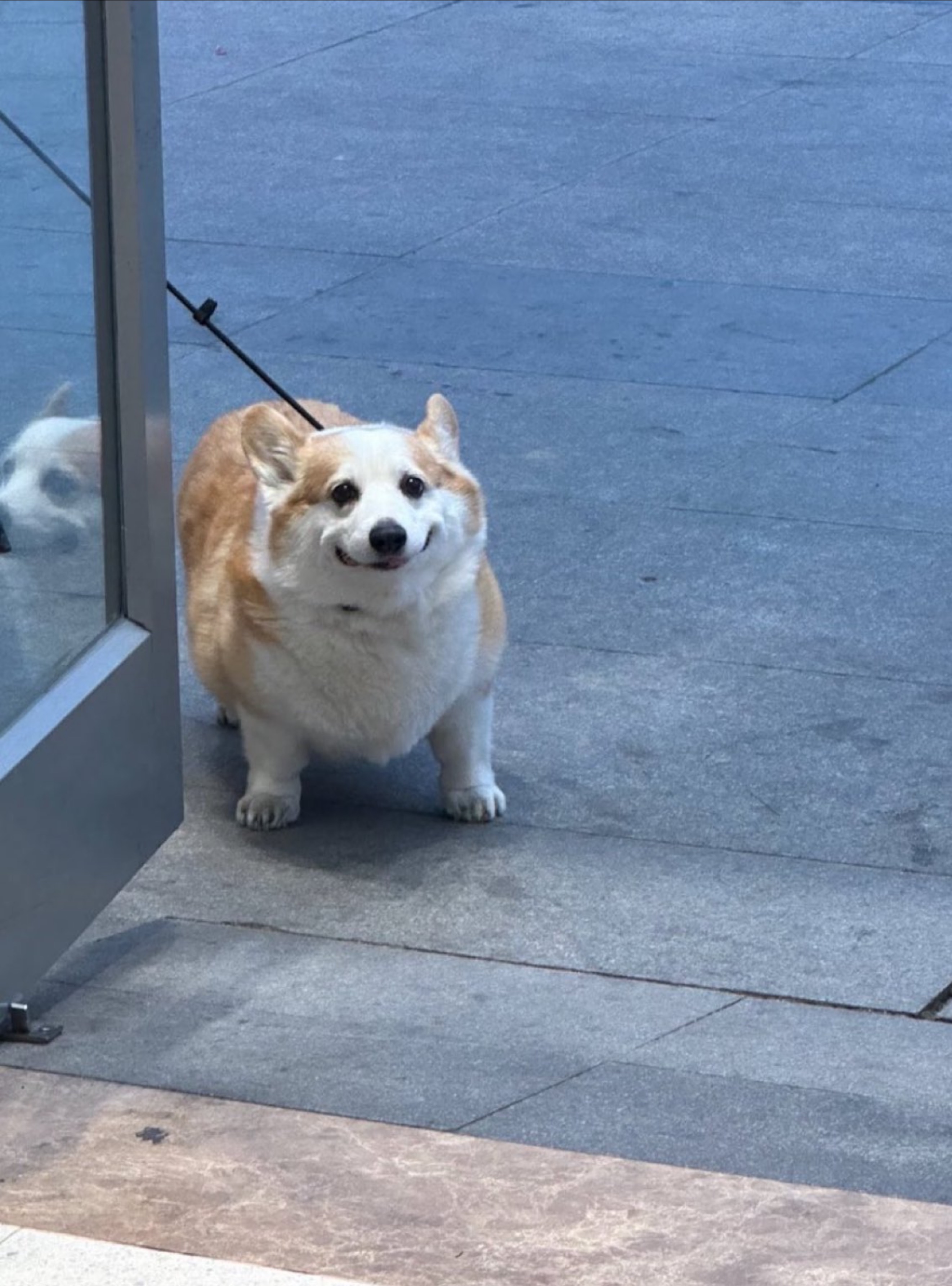 耳片方切り落とすとインデックス当たります