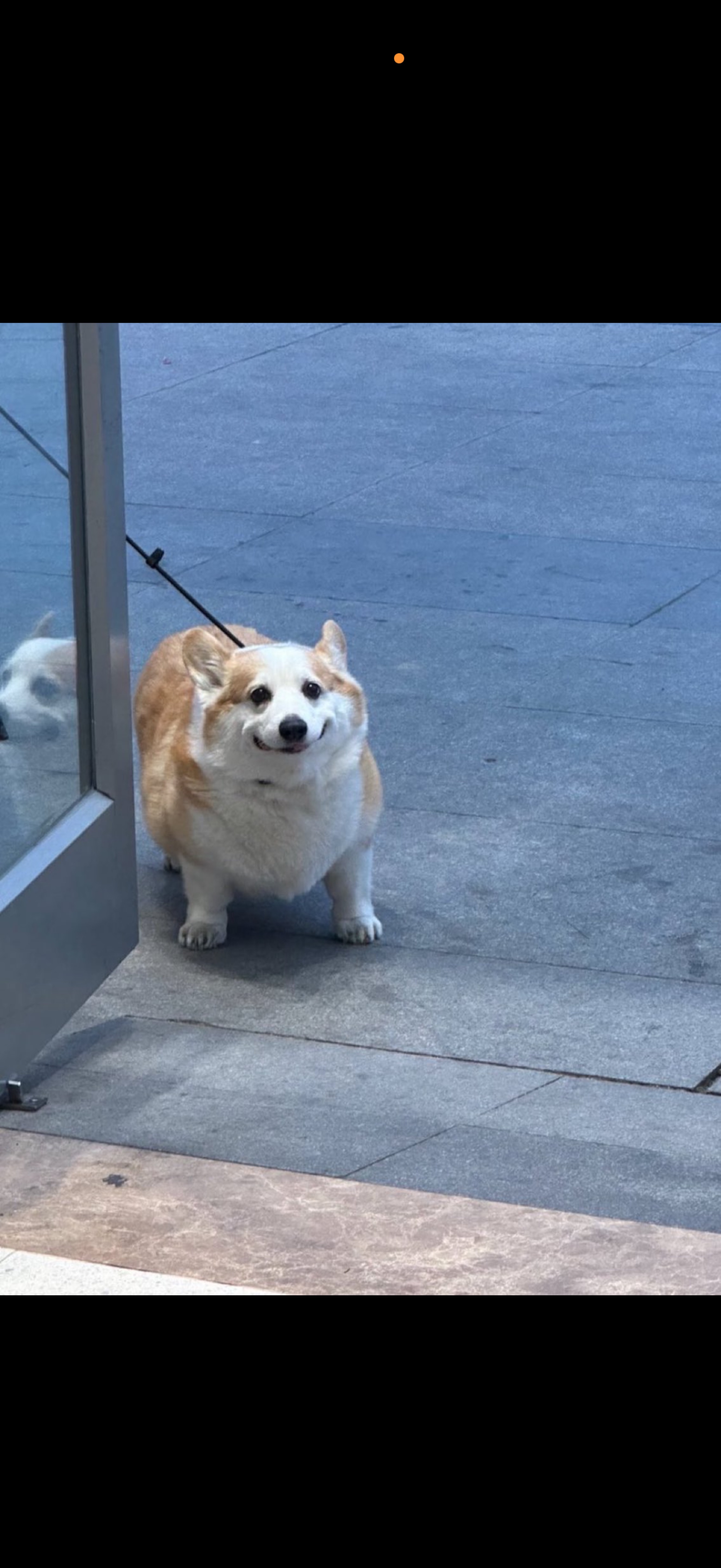 囲い居ないけど盛り上がりは必要だよなぁ？