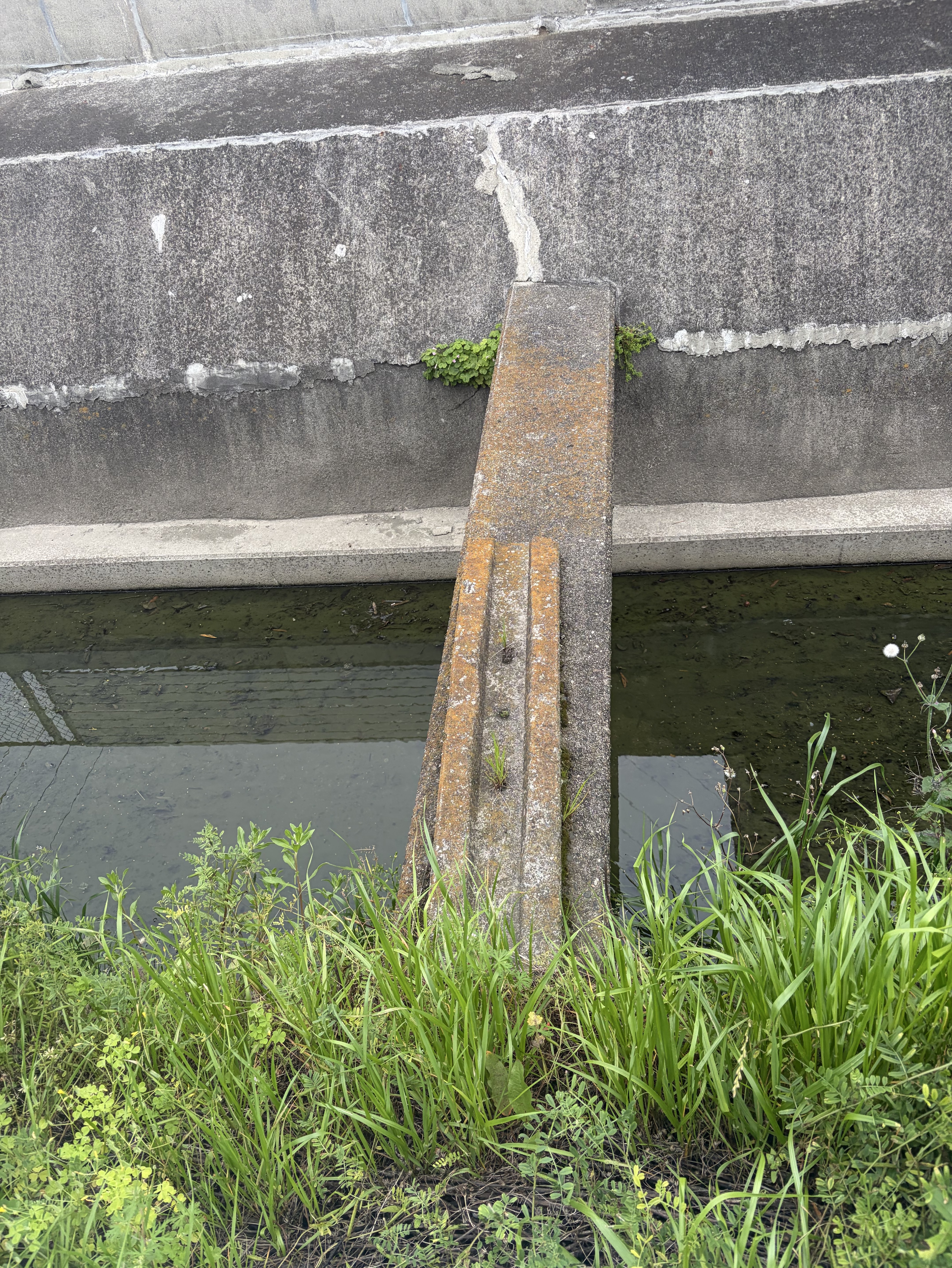 あなたと話したい