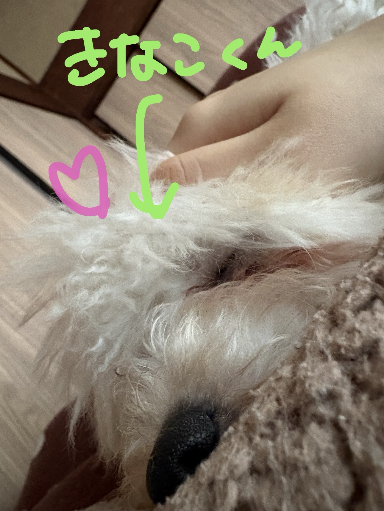 グリドル食べたいかも🤤