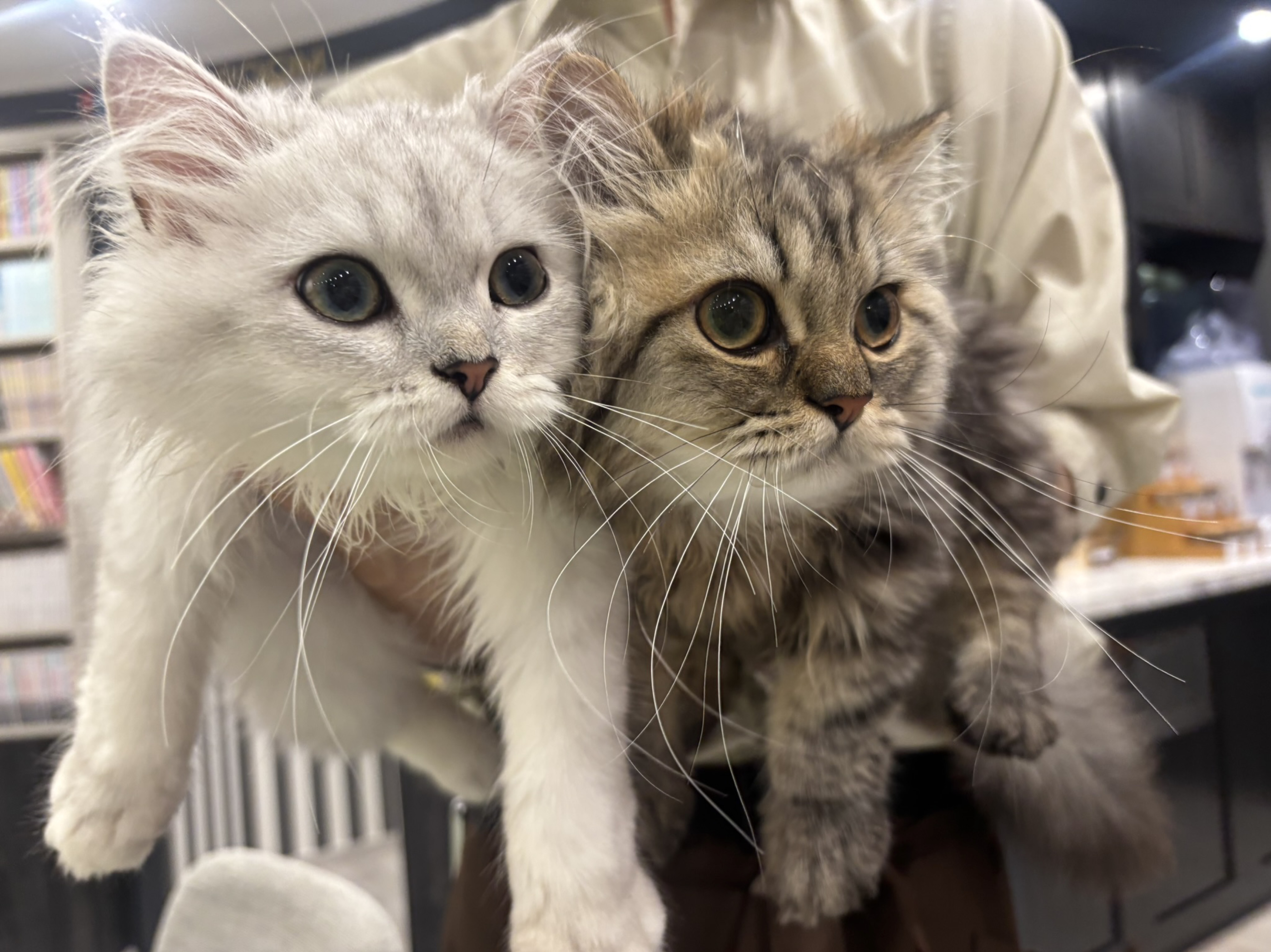 寝潜◎￤優しく 癒しであるように。