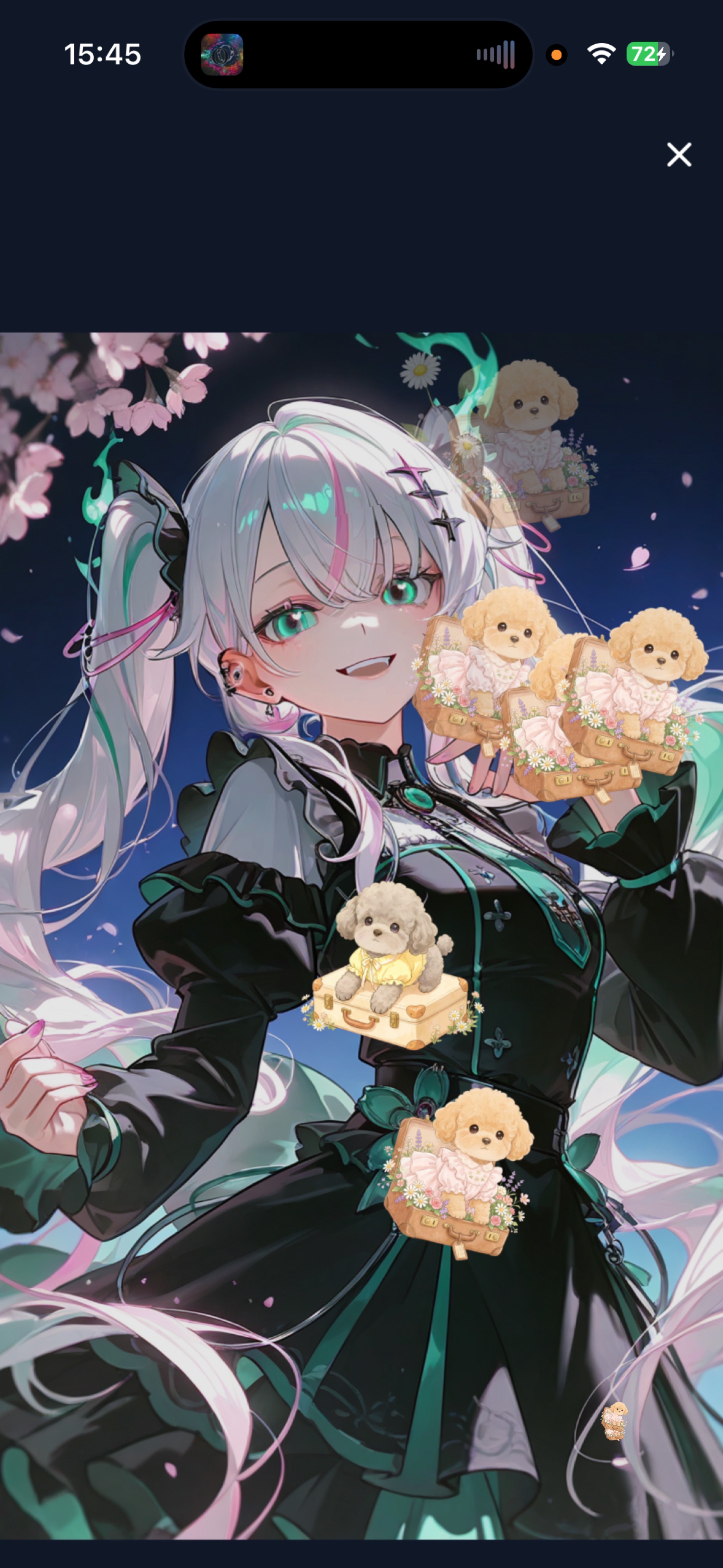 ハート2個分話したい💖