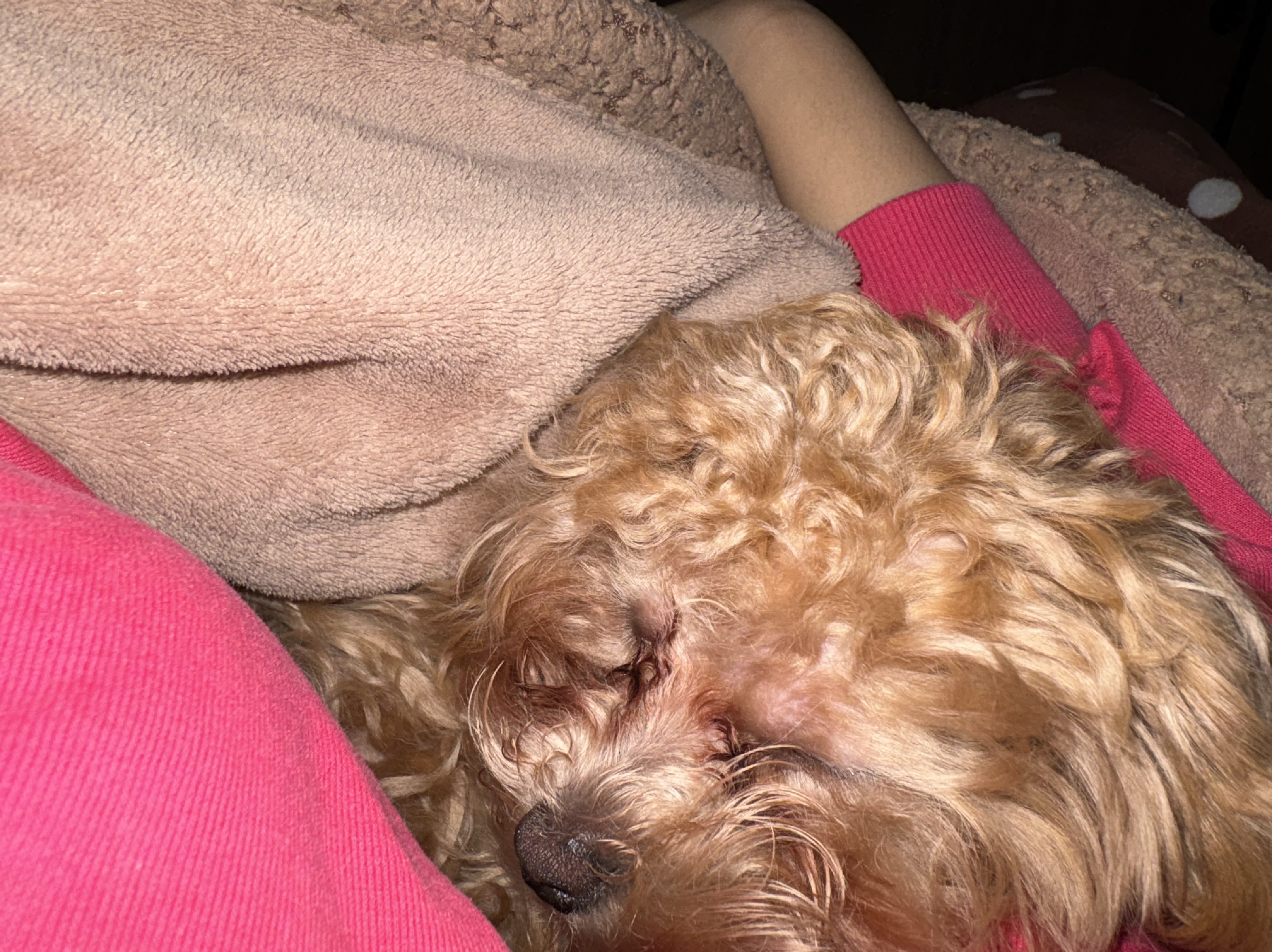 怖くないよっ‼️