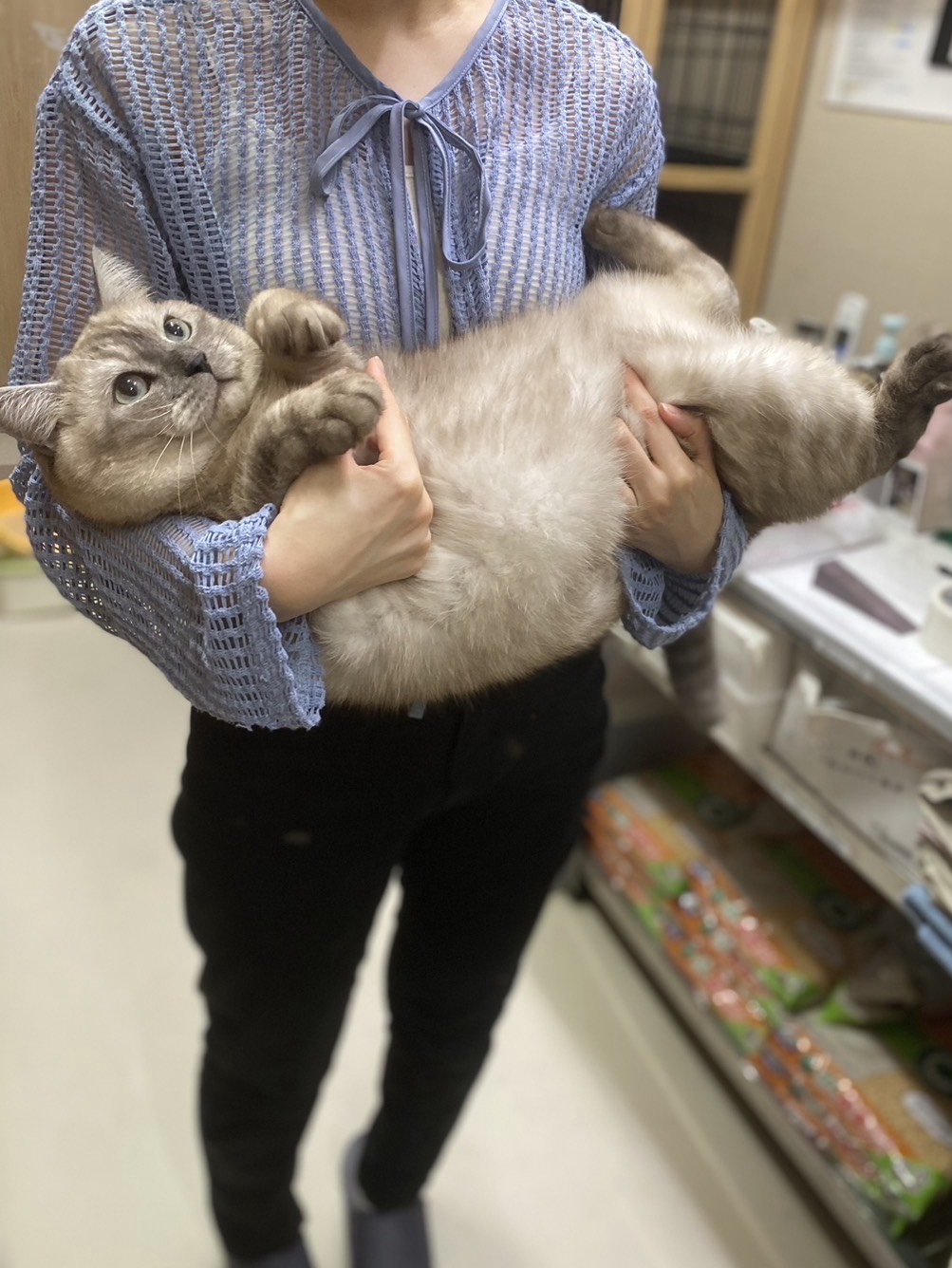 寝潜◎￤優しく 癒しであるように。