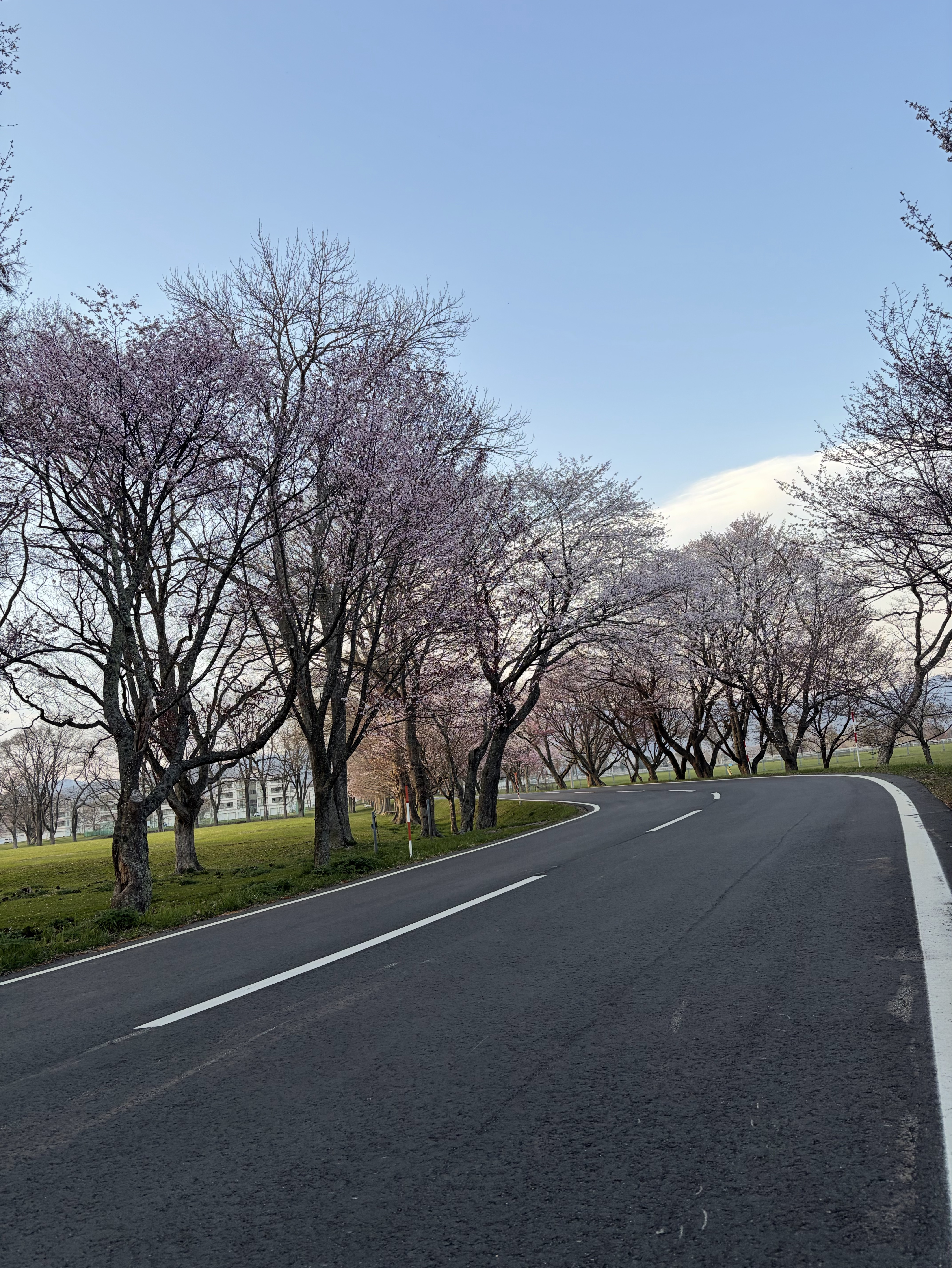 初見さん大歓迎だよー！